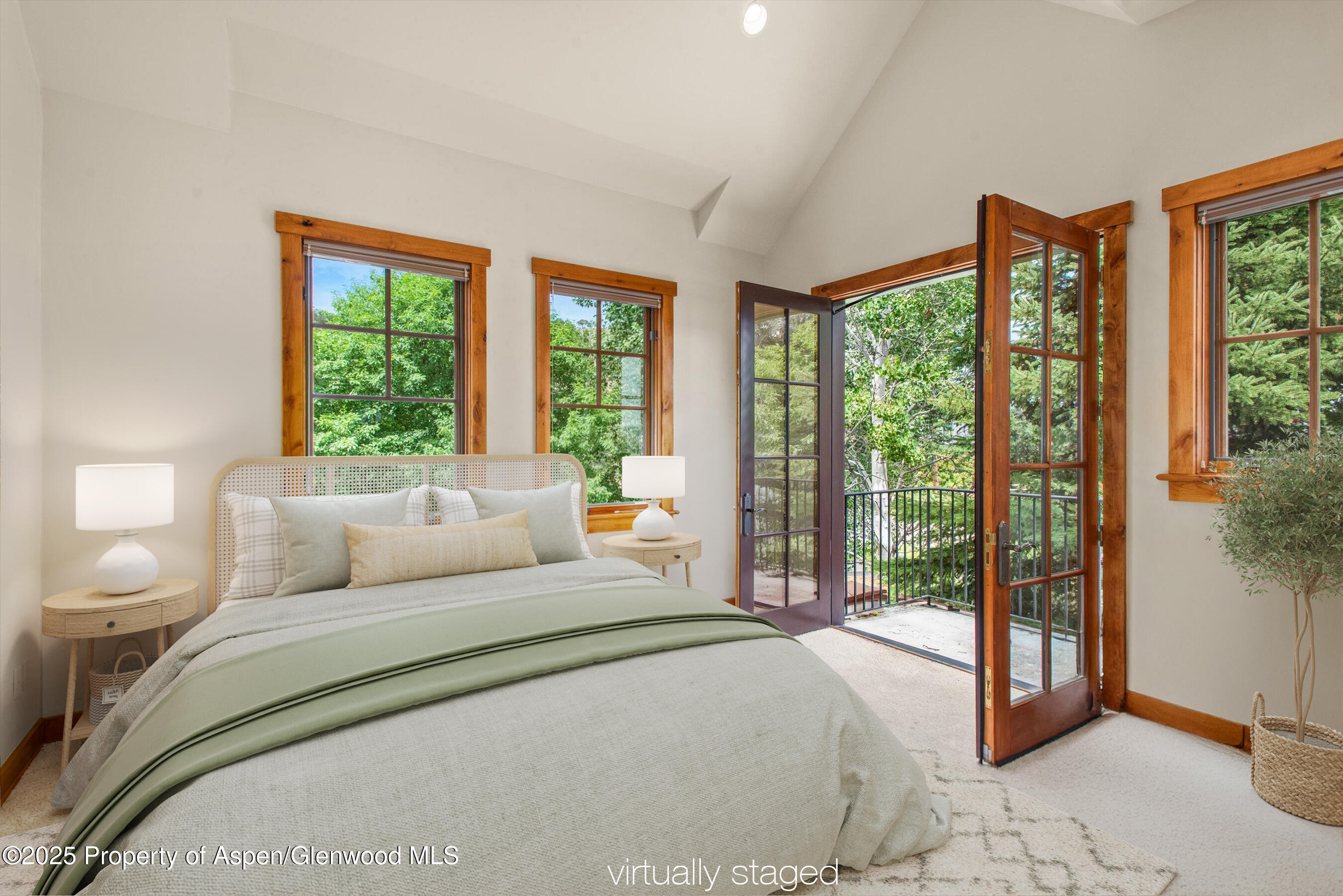 10 Patterson Drive Carbondale CO 81623