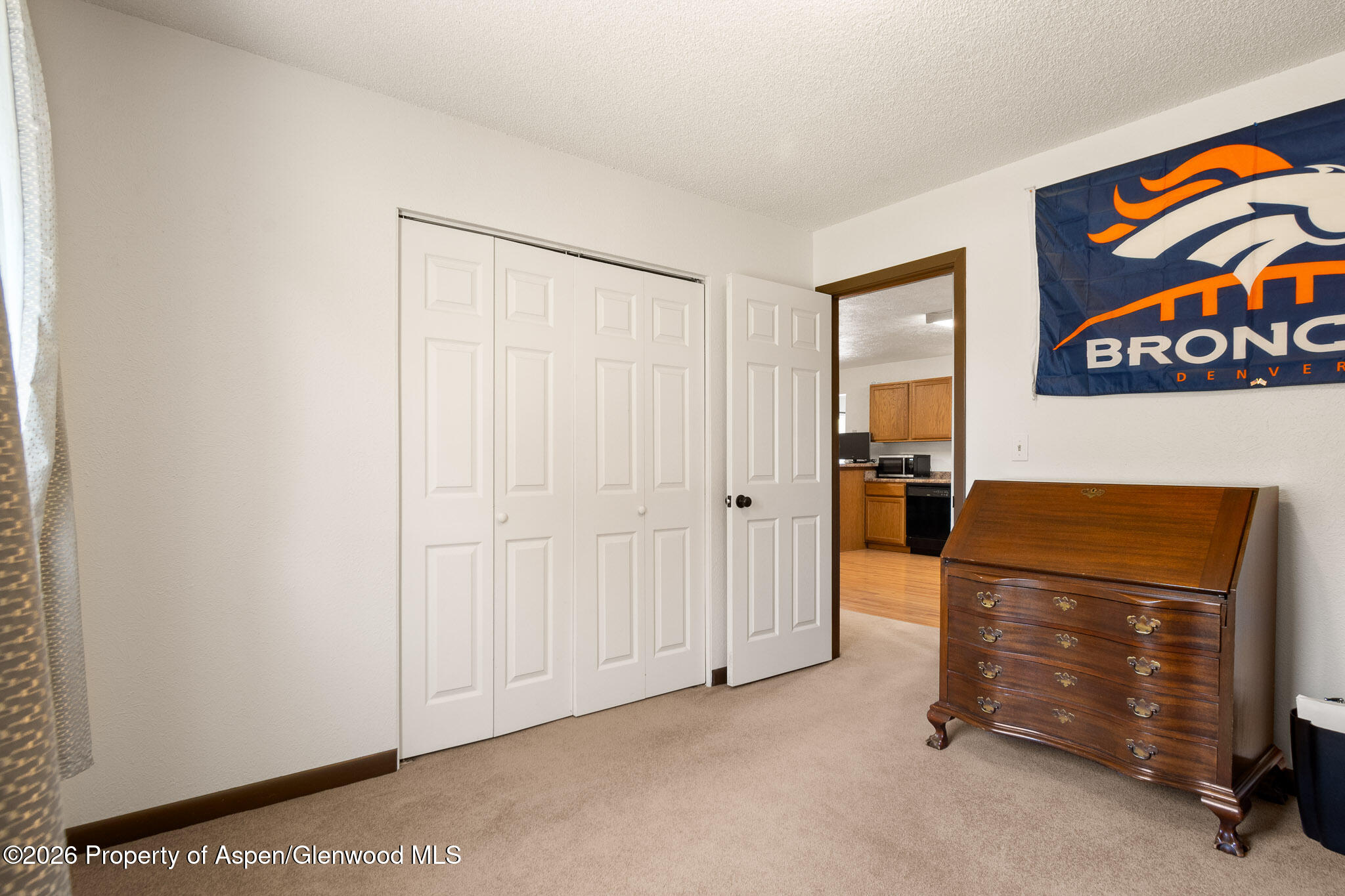 271 Remington Street Rifle CO 81650