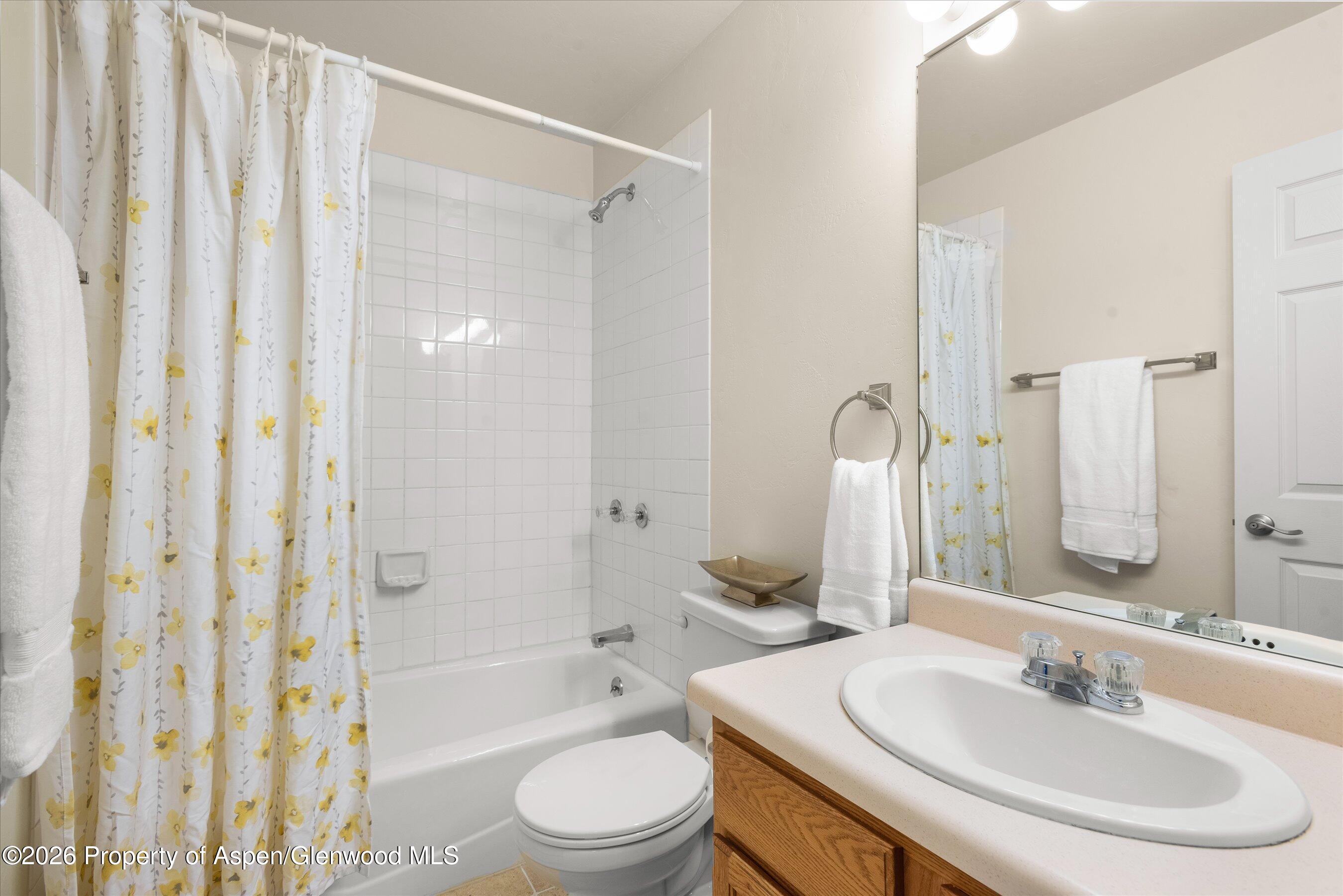 268 Deer Run Carbondale CO 81623