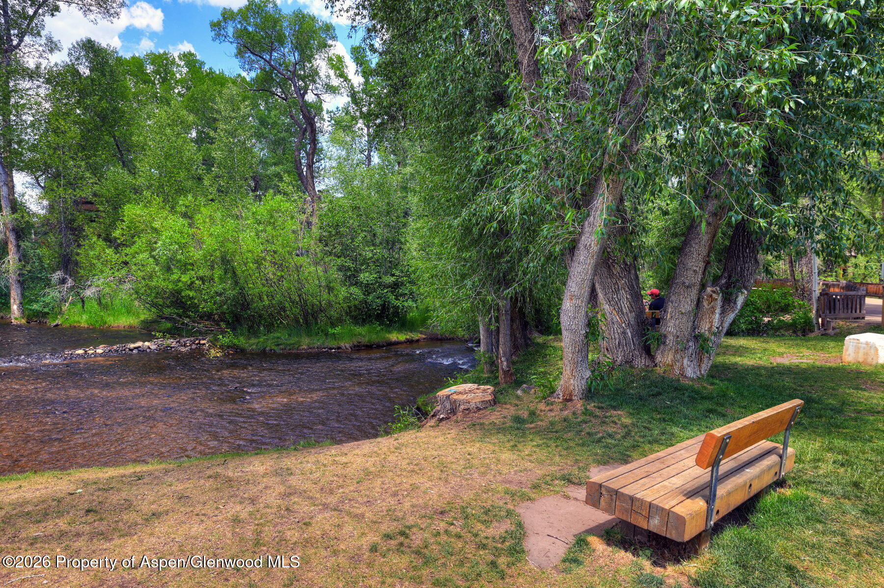930 Matchless Drive Aspen CO 81611