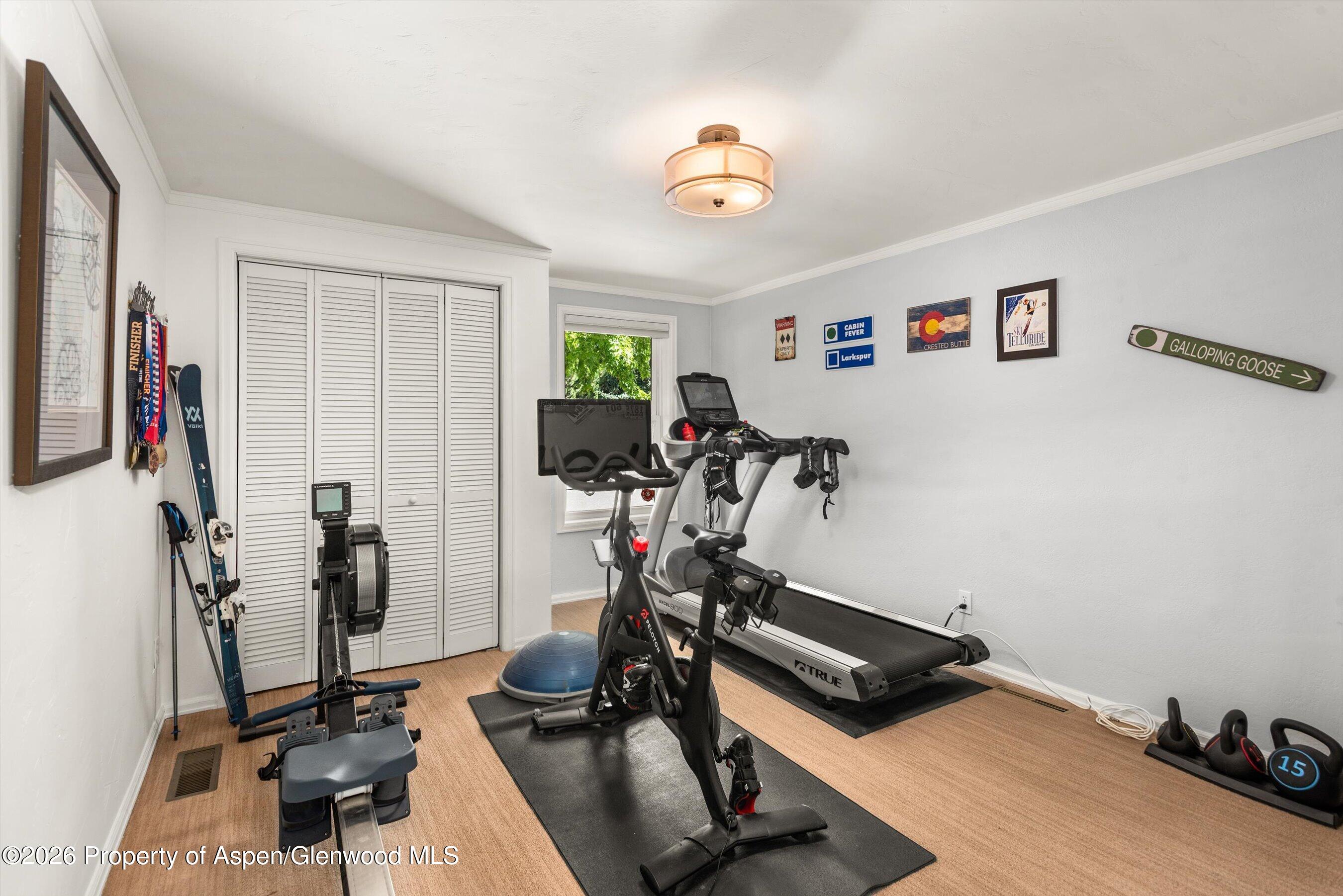 63 Badger Road Carbondale CO 81623
