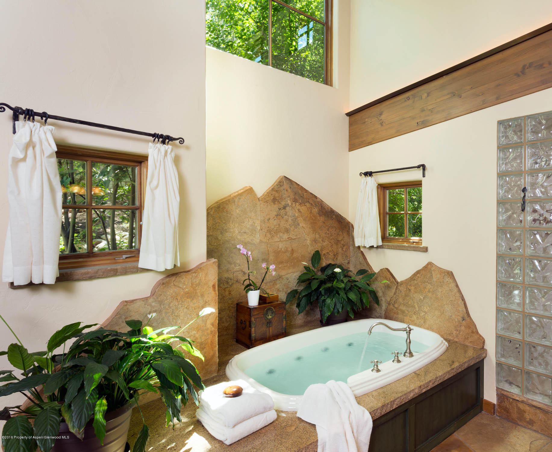 85 Maple Ridge Lane Snowmass Village CO 81615
