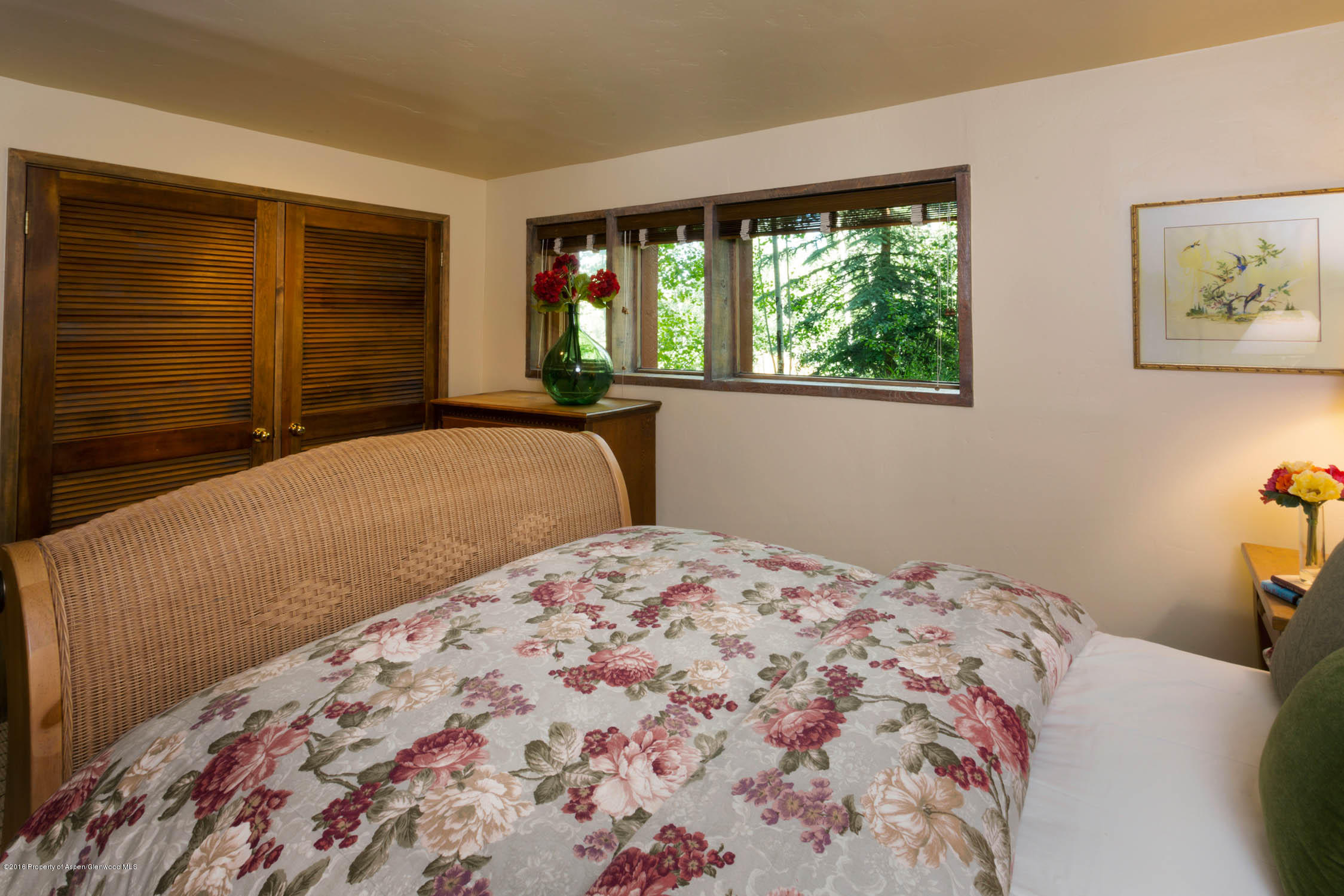85 Maple Ridge Lane Snowmass Village CO 81615