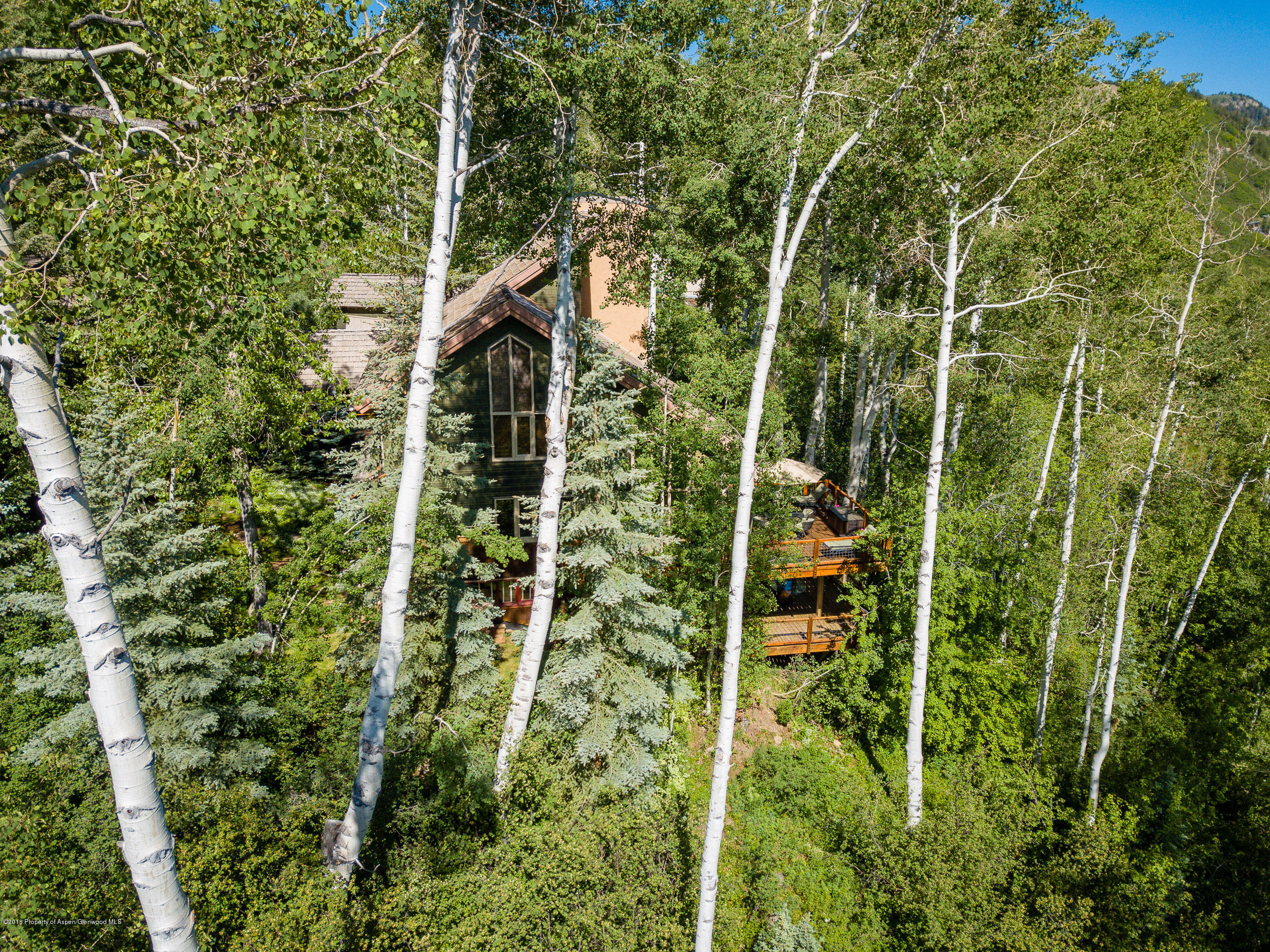 85 Maple Ridge Lane Snowmass Village CO 81615