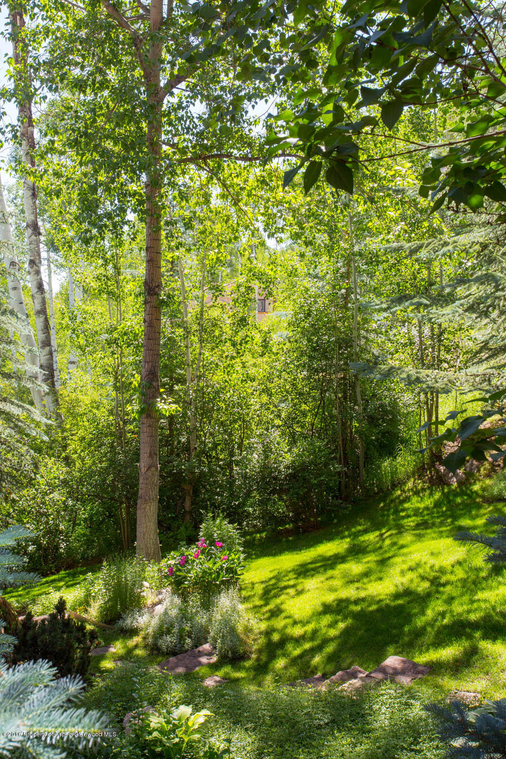 85 Maple Ridge Lane Snowmass Village CO 81615