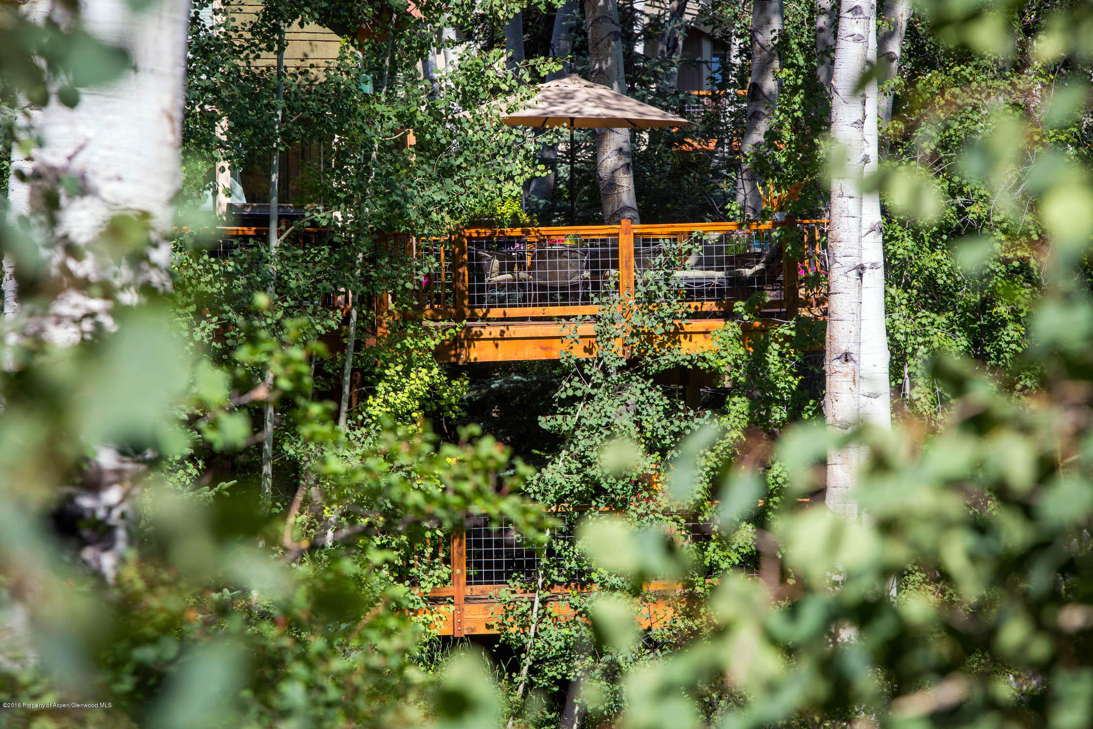 85 Maple Ridge Lane Snowmass Village CO 81615