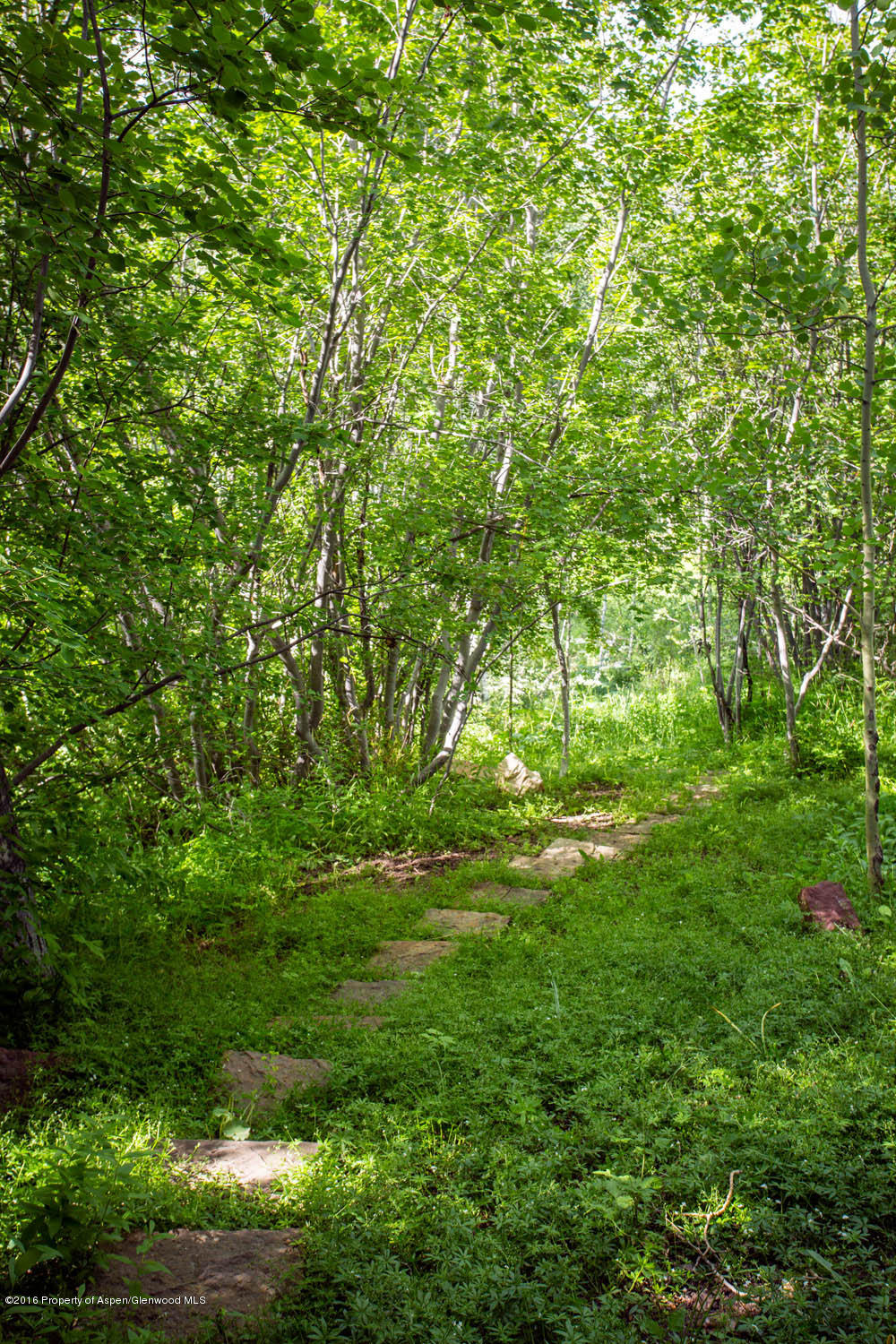 85 Maple Ridge Lane Snowmass Village CO 81615