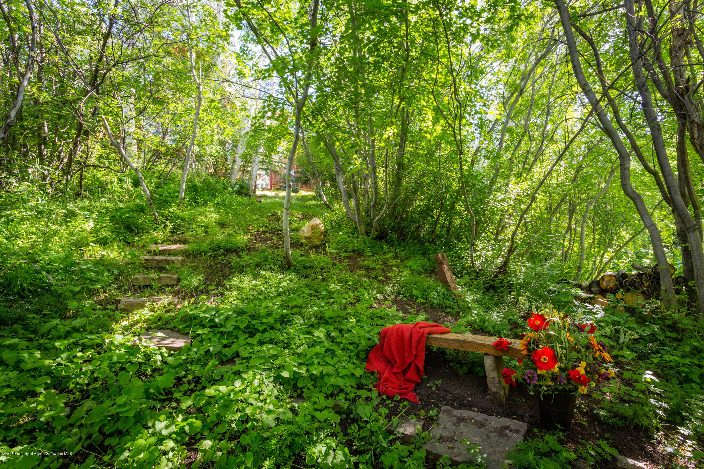 85 Maple Ridge Lane Snowmass Village CO 81615