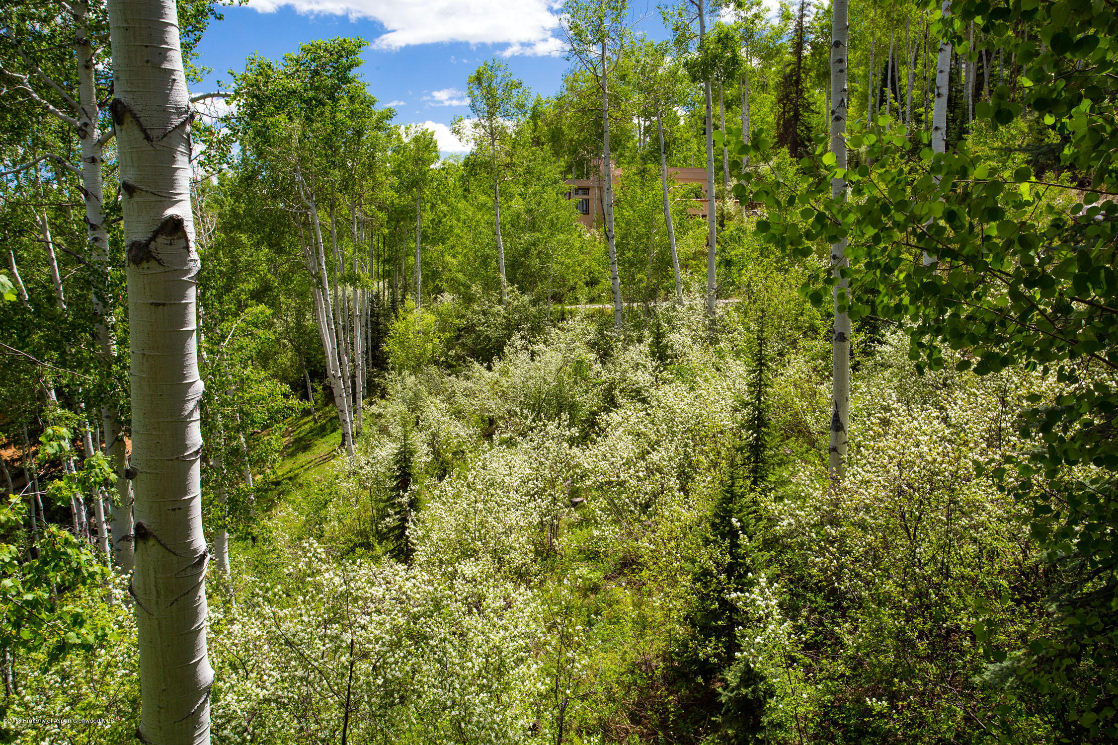 85 Maple Ridge Lane Snowmass Village CO 81615
