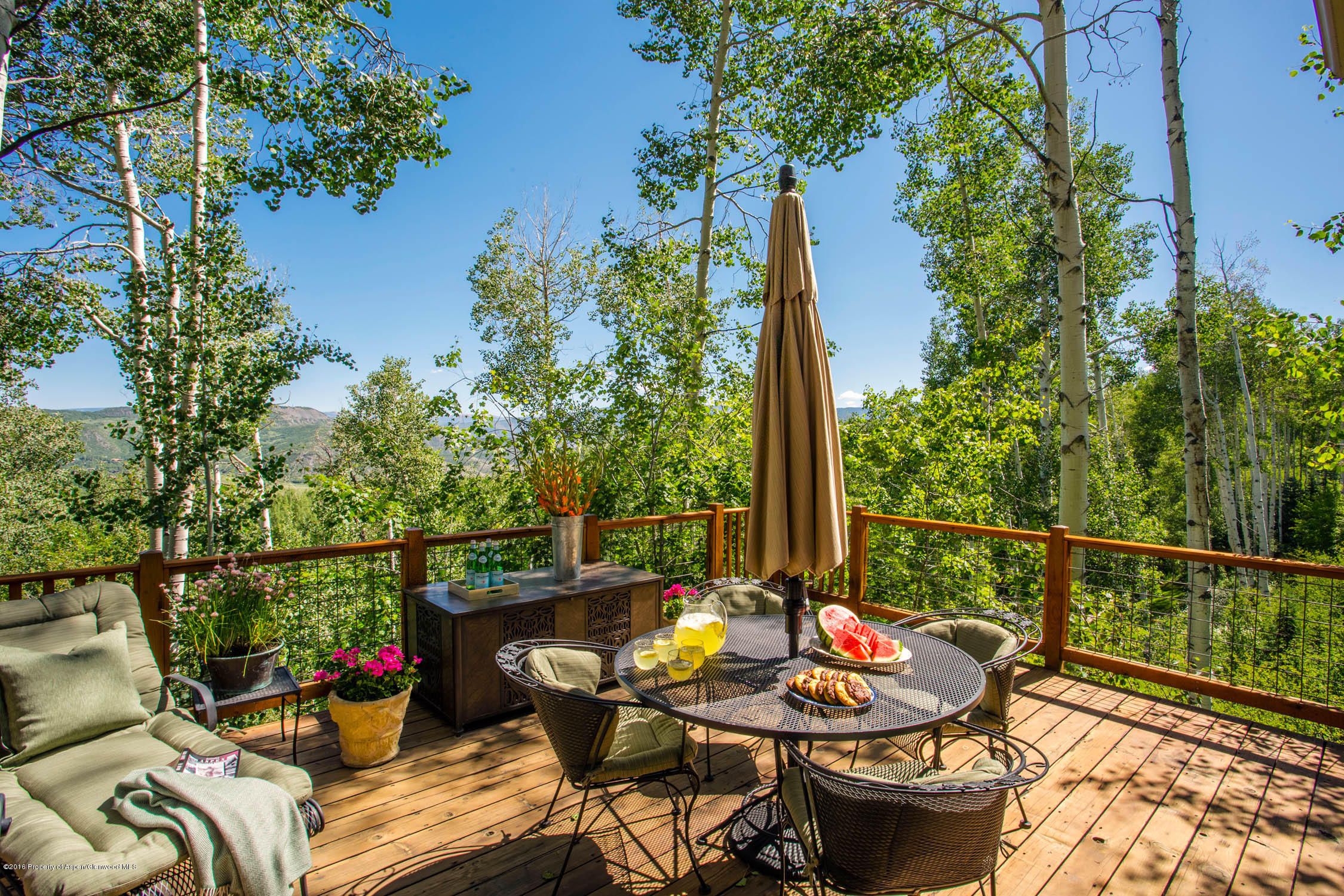 85 Maple Ridge Lane Snowmass Village CO 81615