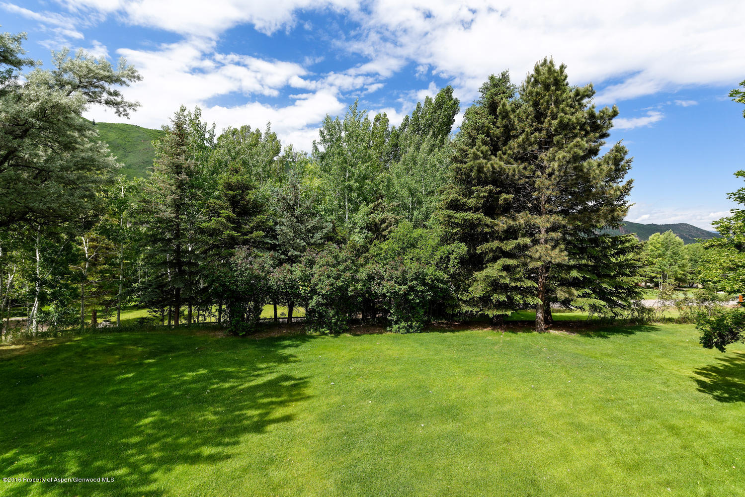 142 Holland Hills Road Basalt CO 81621