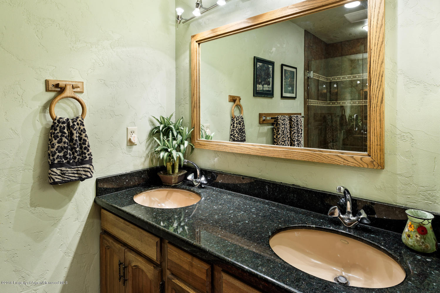 142 Holland Hills Road Basalt CO 81621
