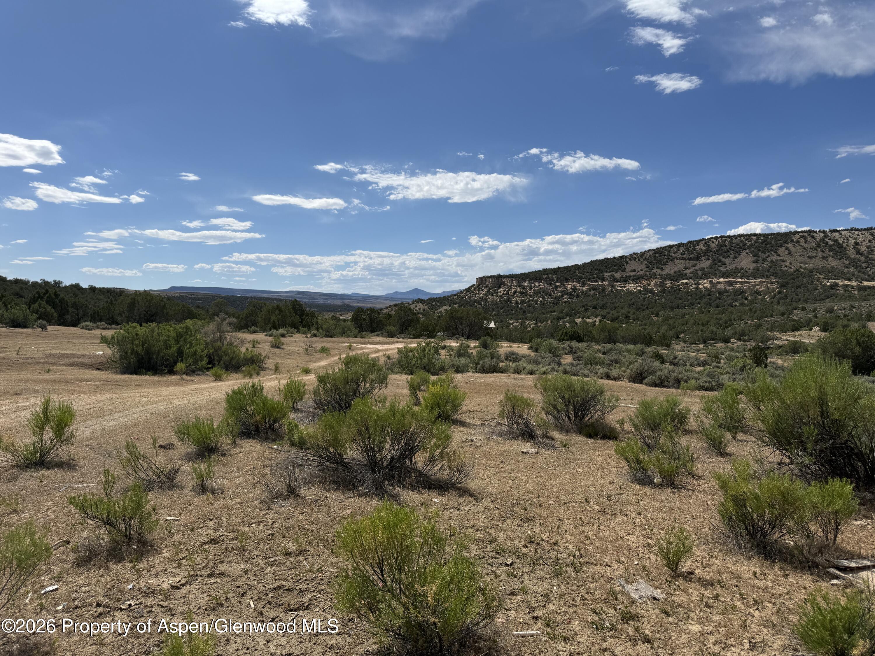 4530 Horse Canyon Road De Beque CO 81630