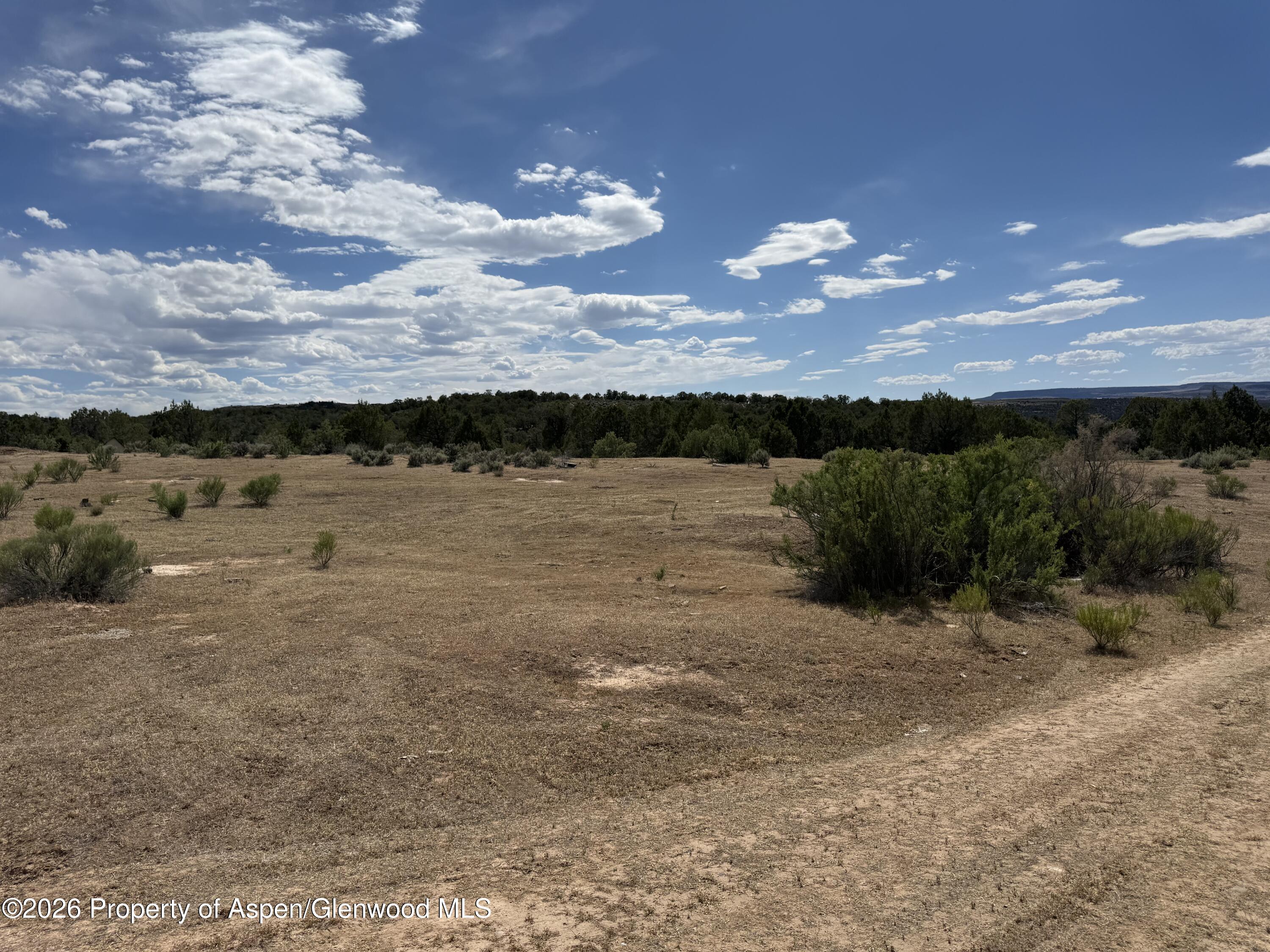 4530 Horse Canyon Road De Beque CO 81630