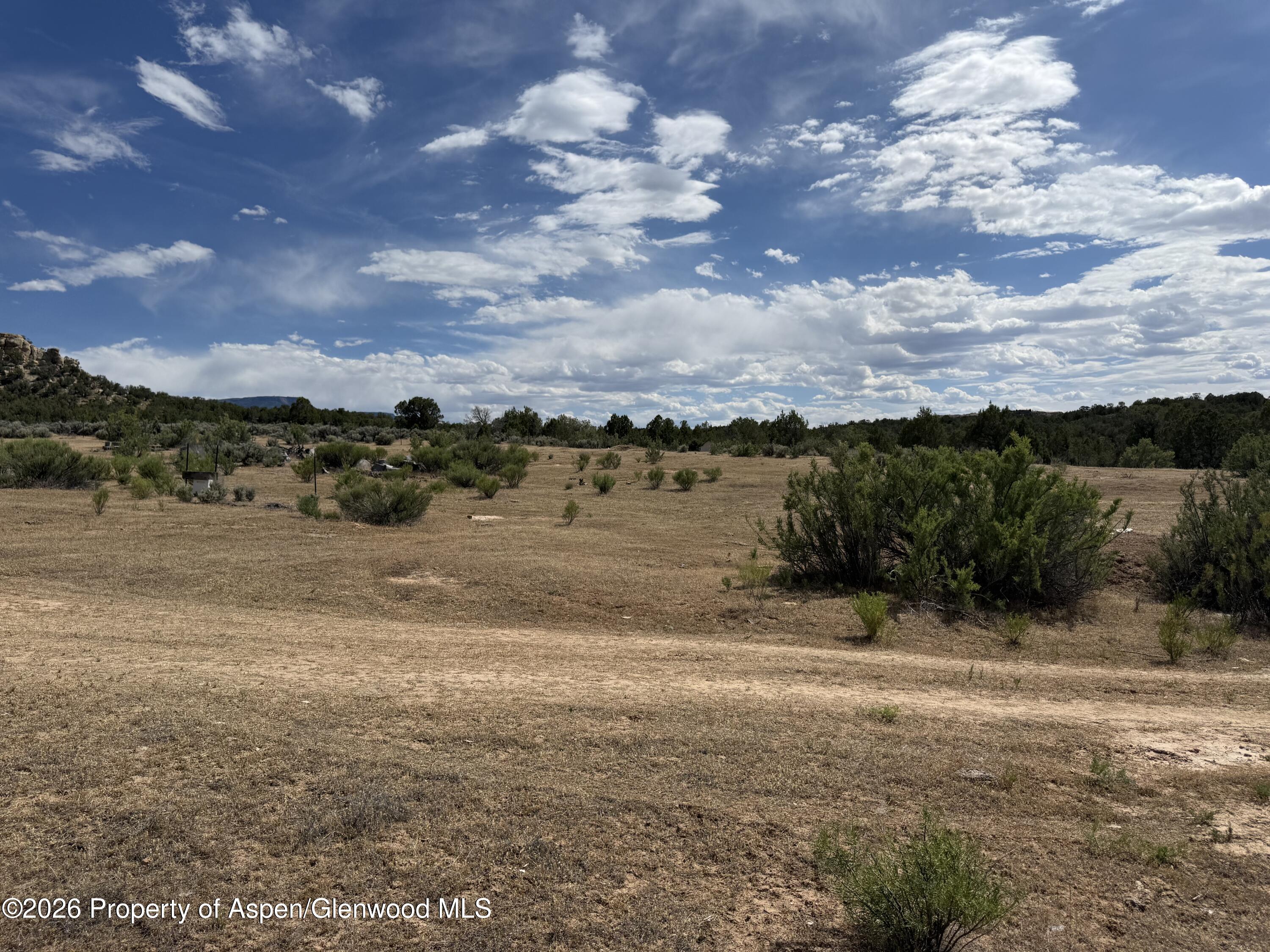 4530 Horse Canyon Road De Beque CO 81630