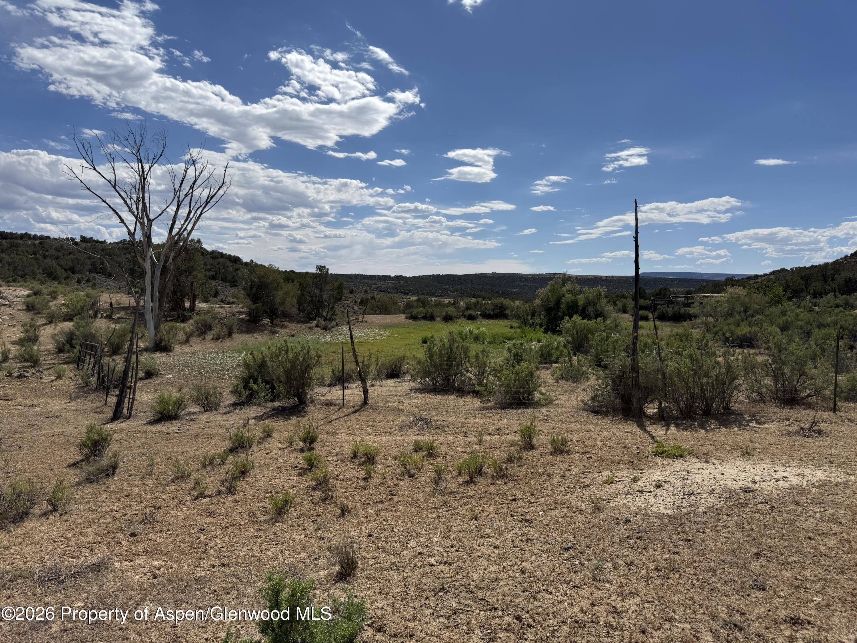 4530 Horse Canyon Road De Beque CO 81630