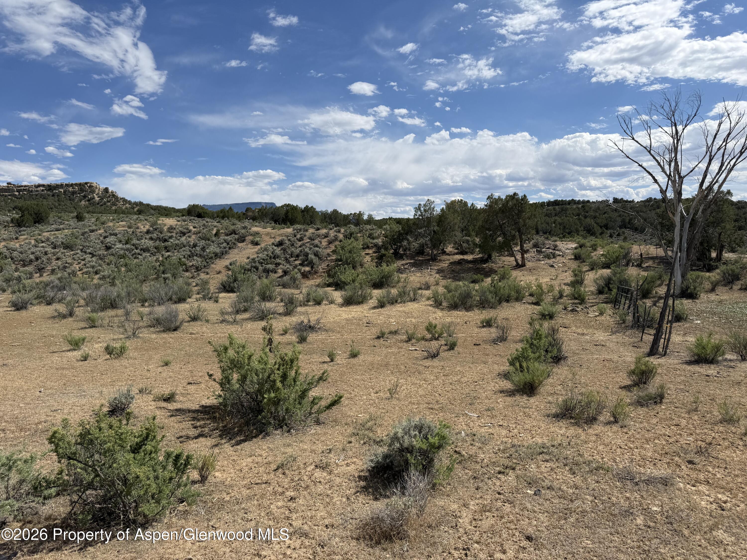 4530 Horse Canyon Road De Beque CO 81630