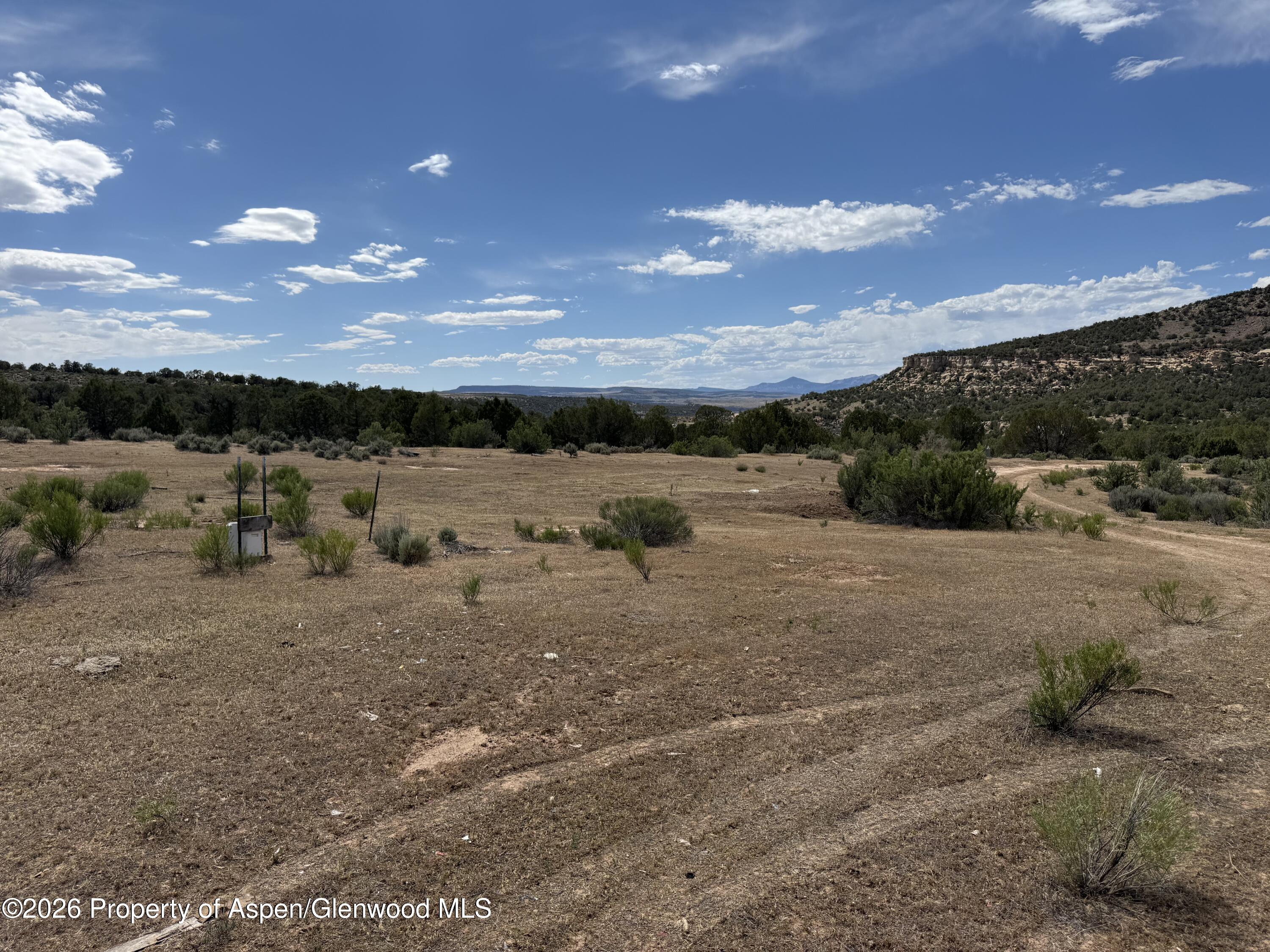 4530 Horse Canyon Road De Beque CO 81630