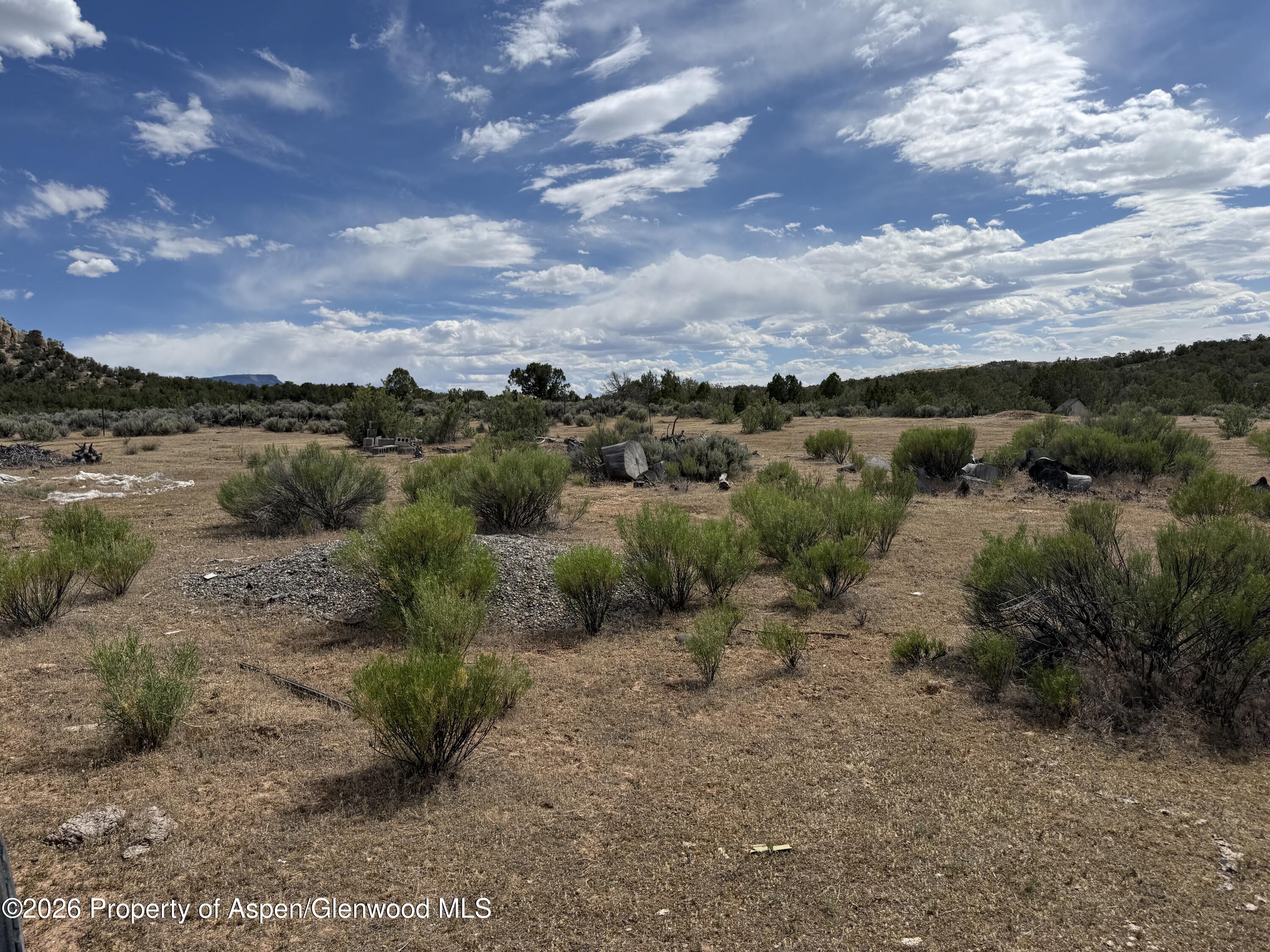 4530 Horse Canyon Road De Beque CO 81630