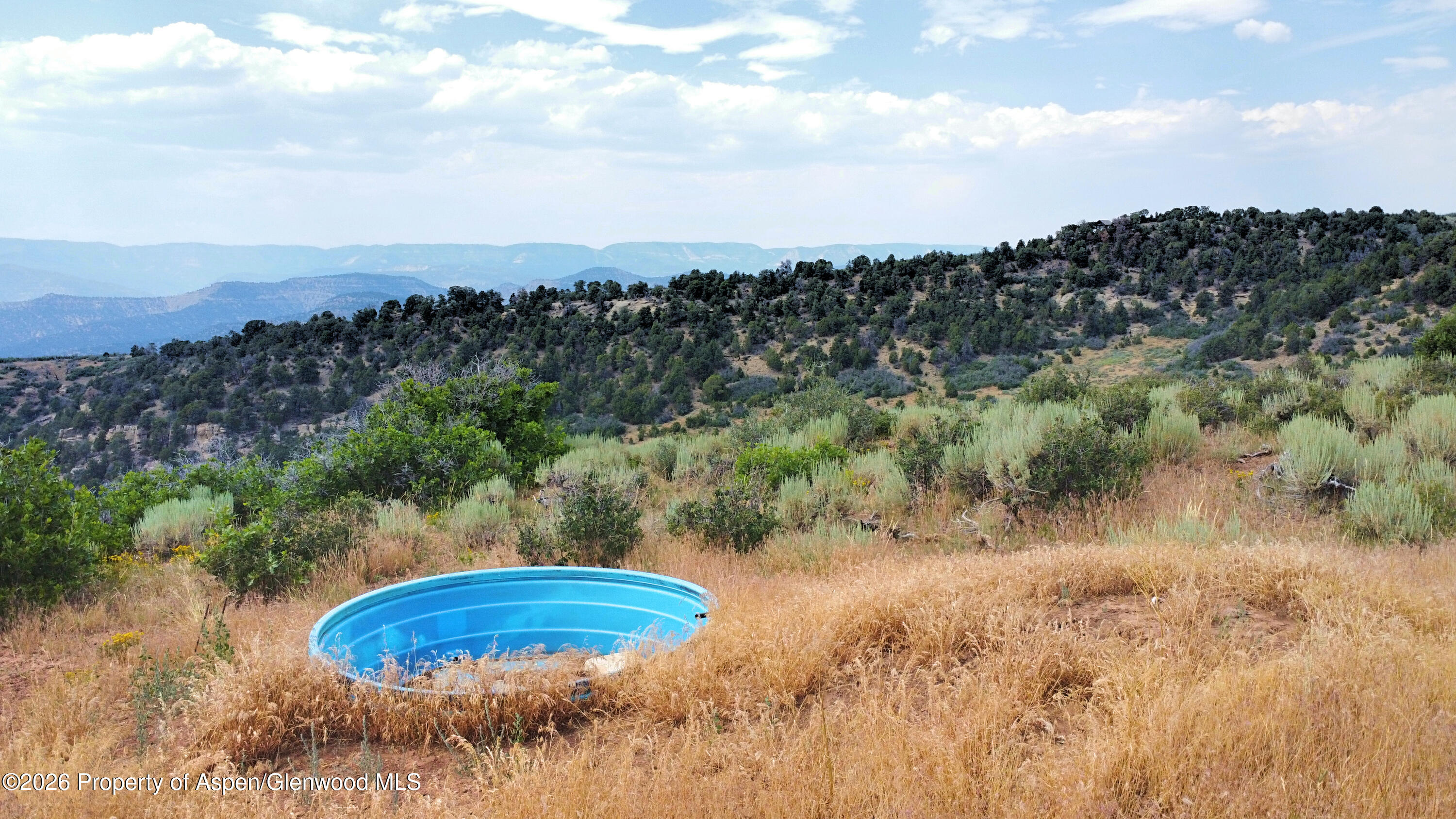 Tbd Old Spink Canyon Road Loma CO 81524