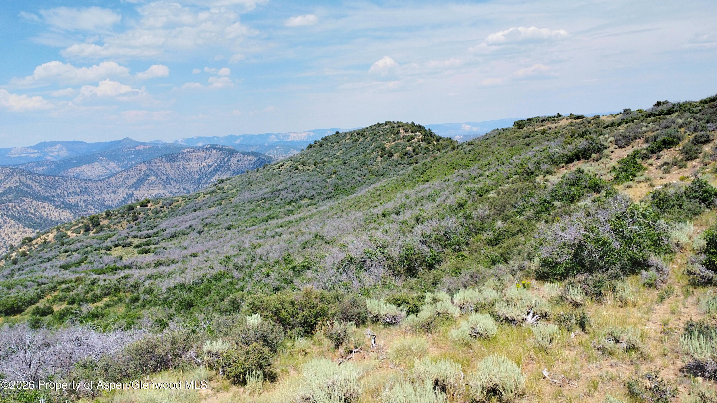 Tbd Old Spink Canyon Road Loma CO 81524