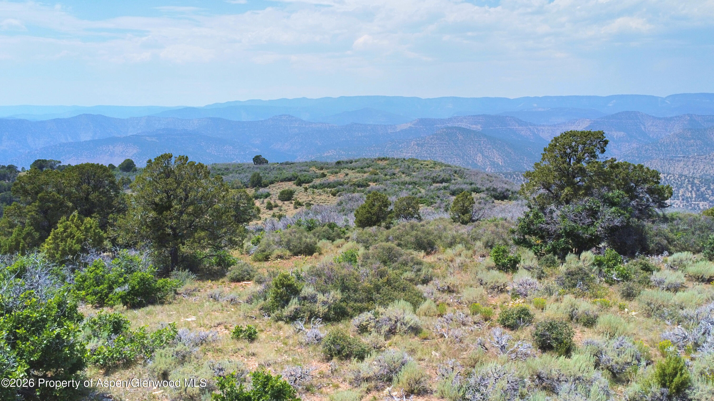 Tbd Old Spink Canyon Road Loma CO 81524