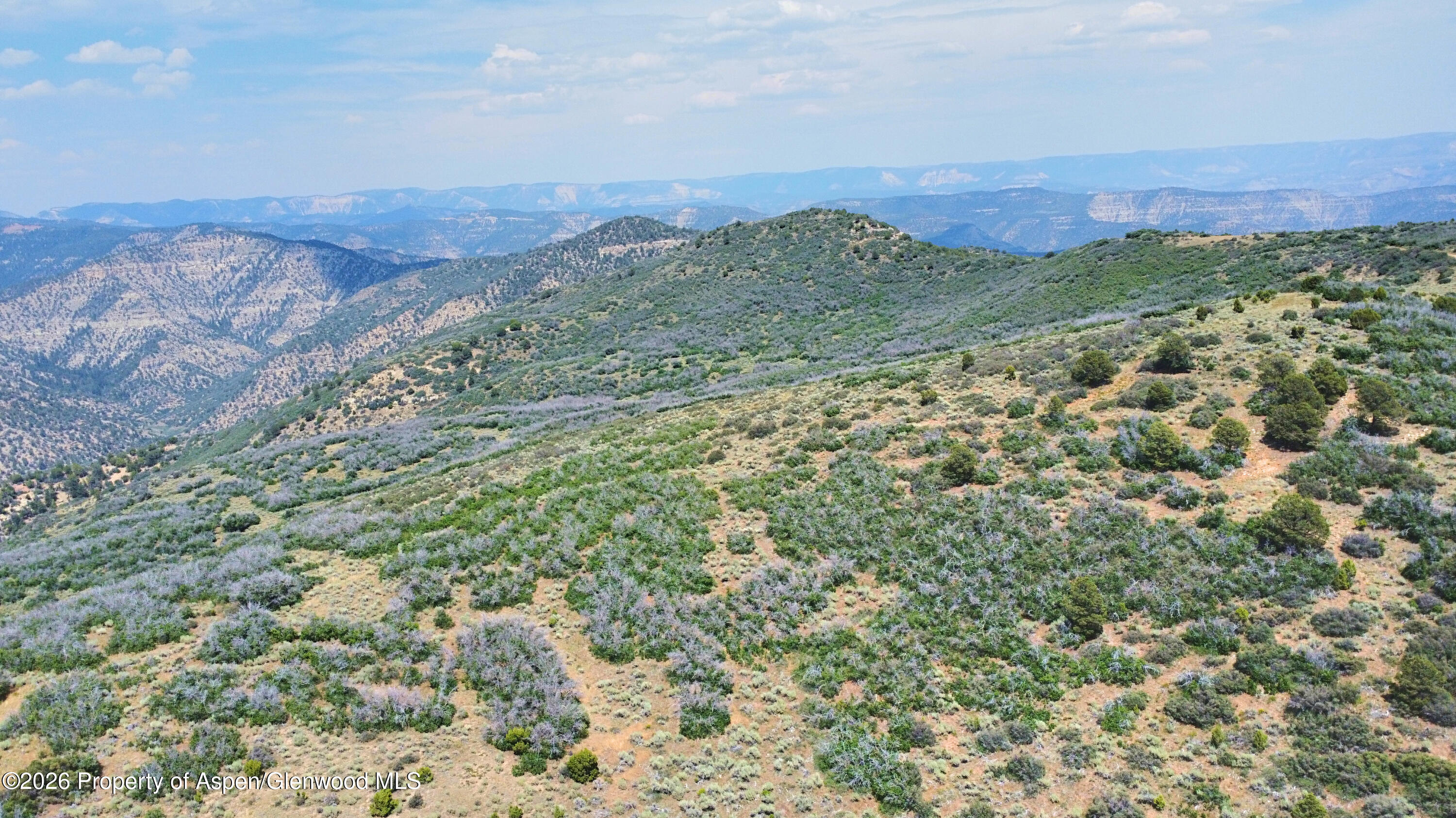 Tbd Old Spink Canyon Road Loma CO 81524