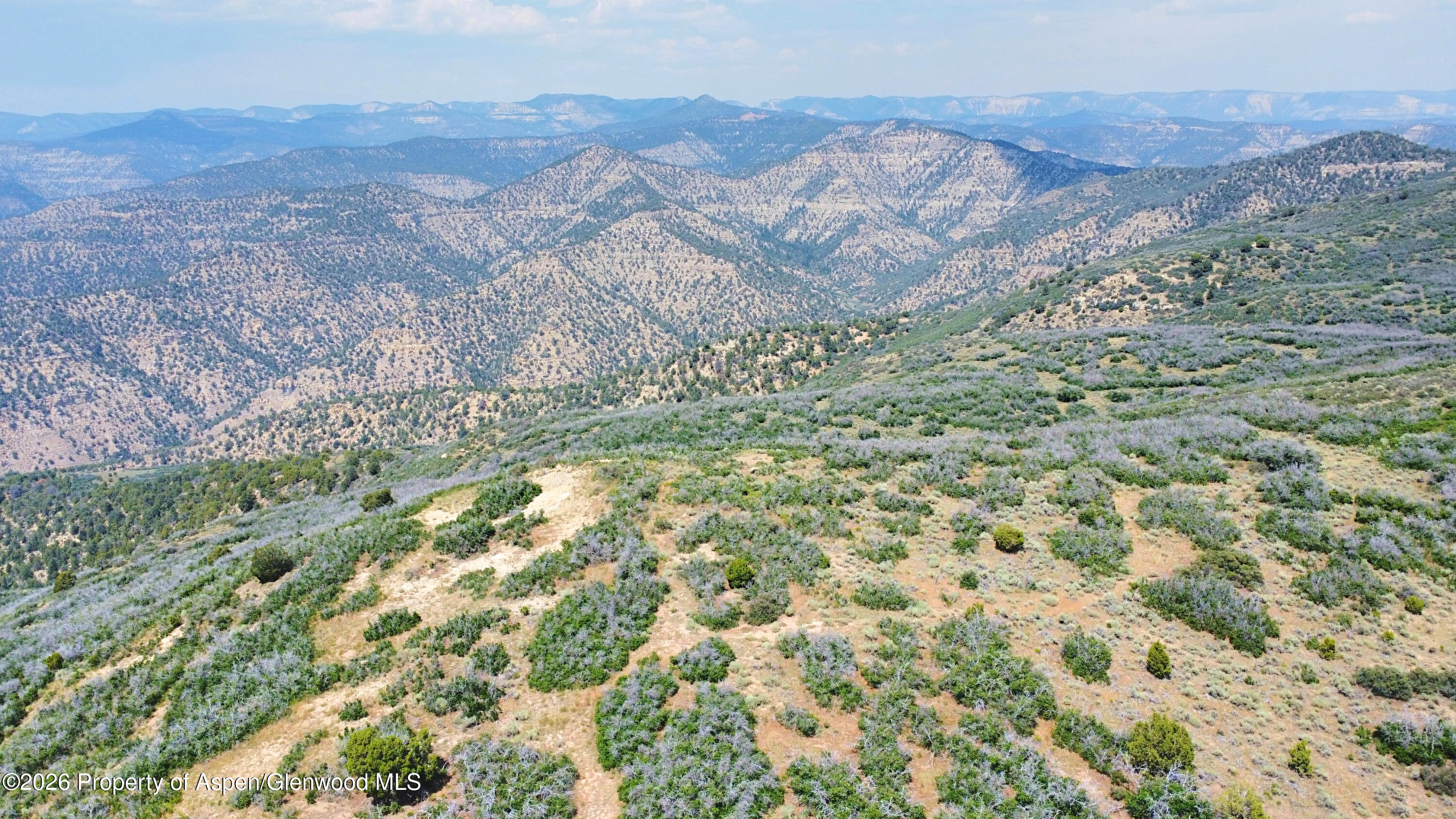 Tbd Old Spink Canyon Road Loma CO 81524