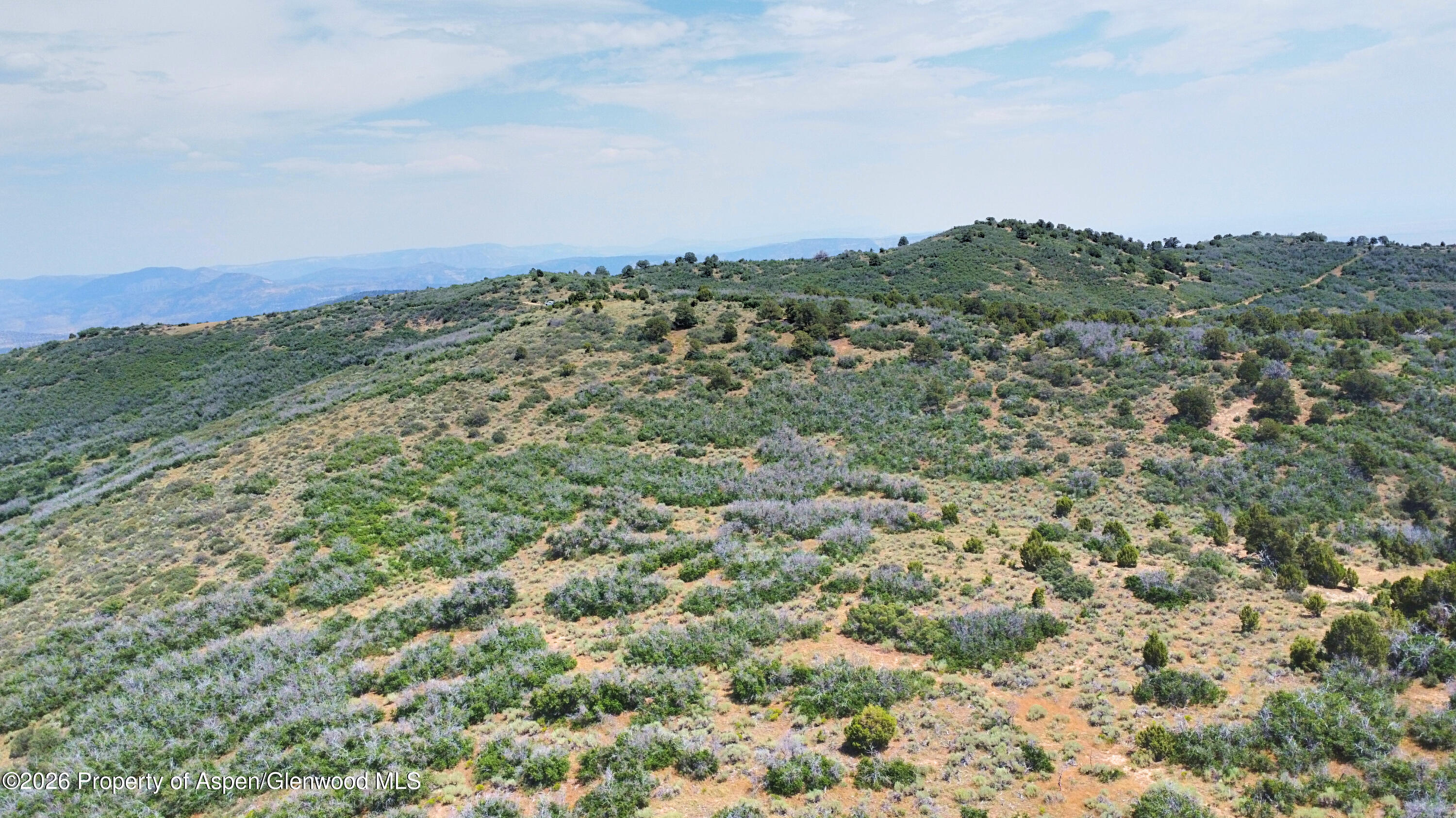 Tbd Old Spink Canyon Road Loma CO 81524