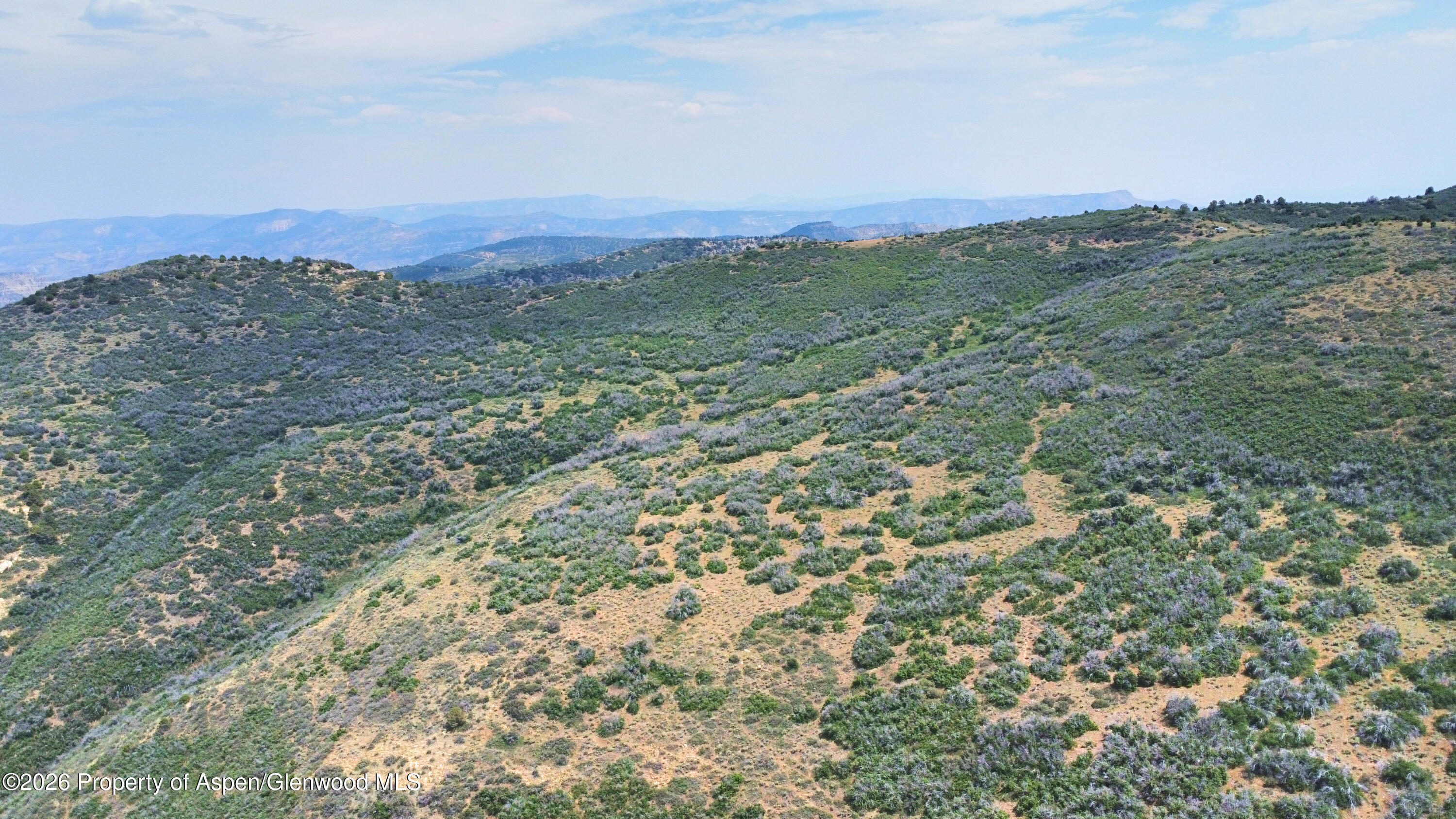 Tbd Old Spink Canyon Road Loma CO 81524