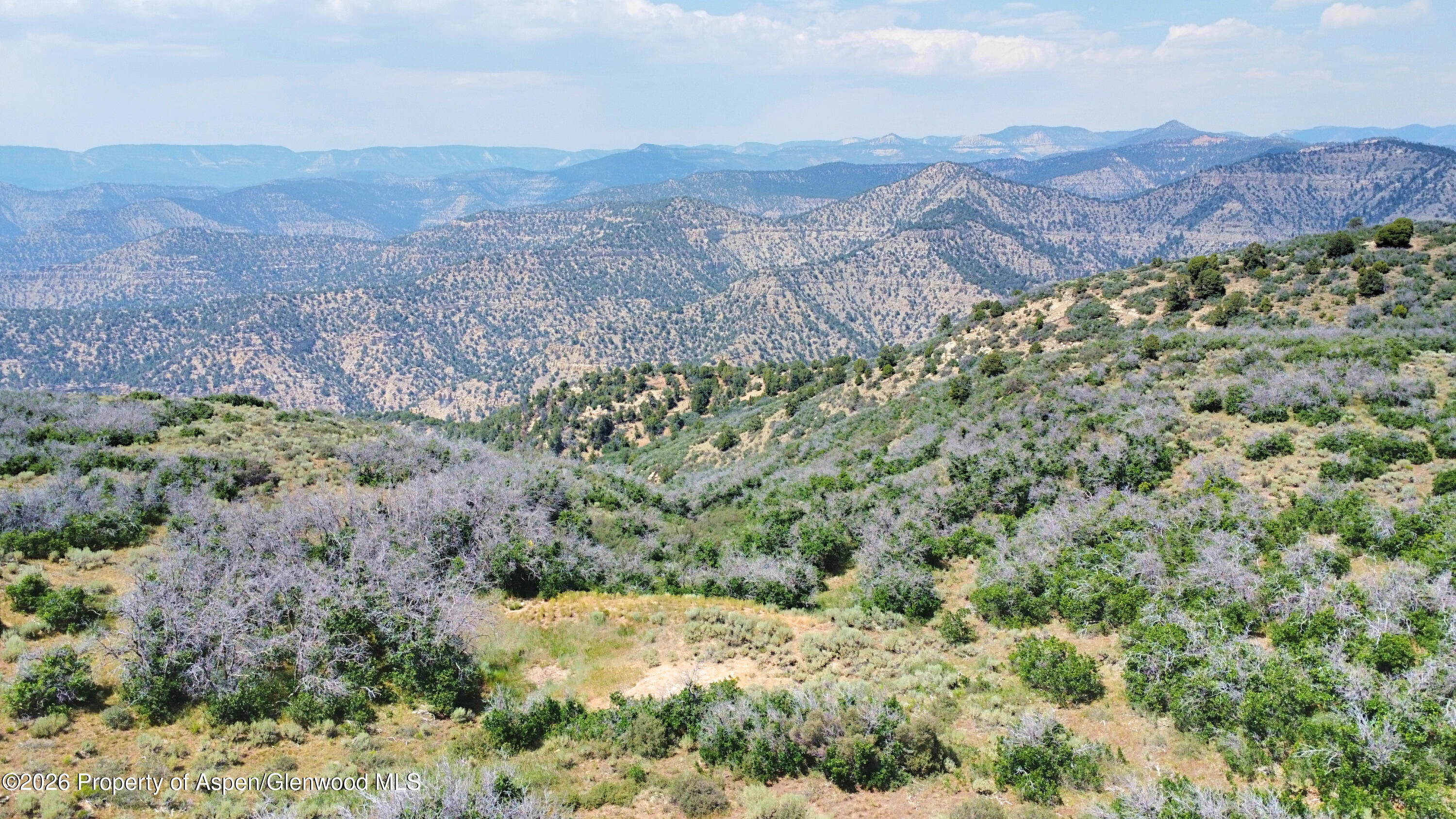 Tbd Old Spink Canyon Road Loma CO 81524