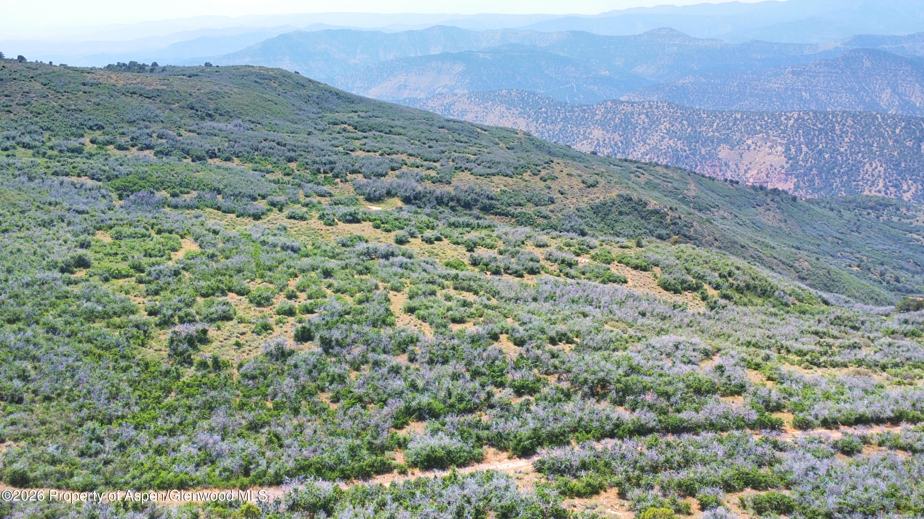 Tbd Old Spink Canyon Road Loma CO 81524