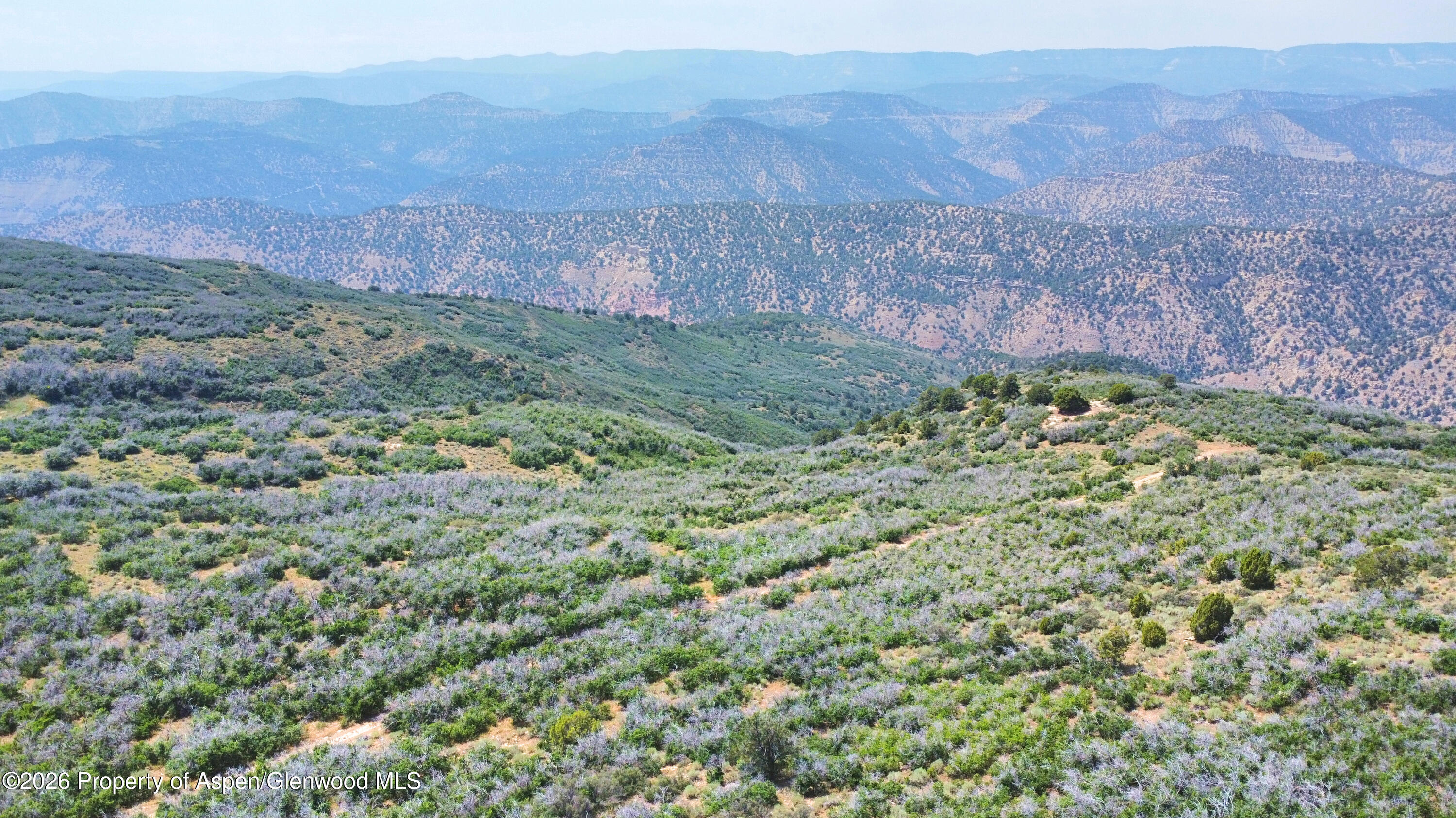 Tbd Old Spink Canyon Road Loma CO 81524