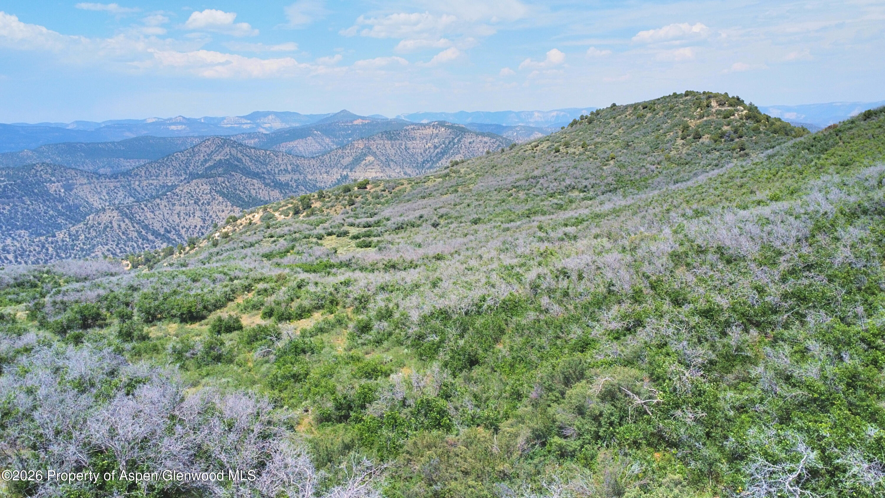 Tbd Old Spink Canyon Road Loma CO 81524
