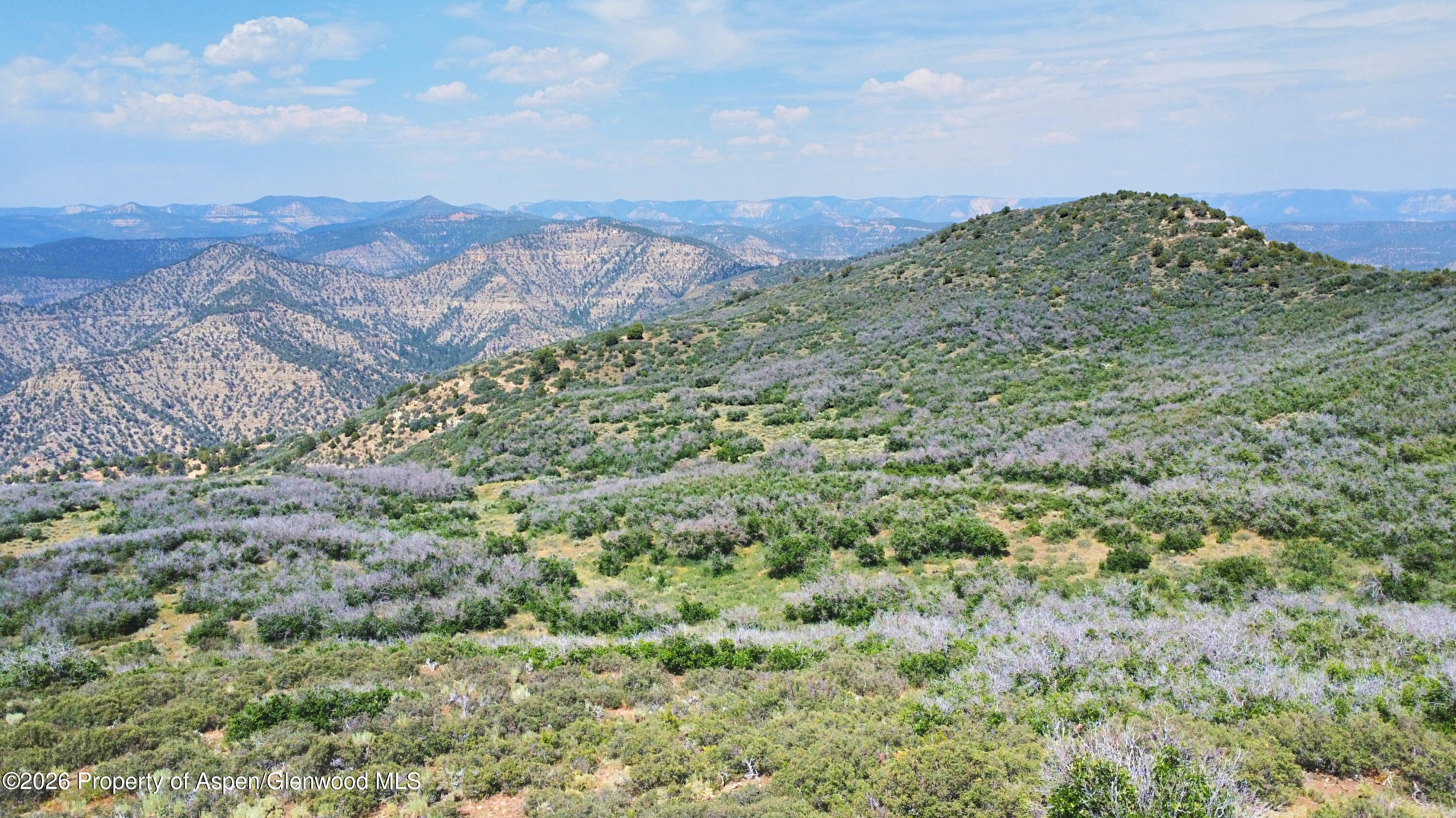 Tbd Old Spink Canyon Road Loma CO 81524