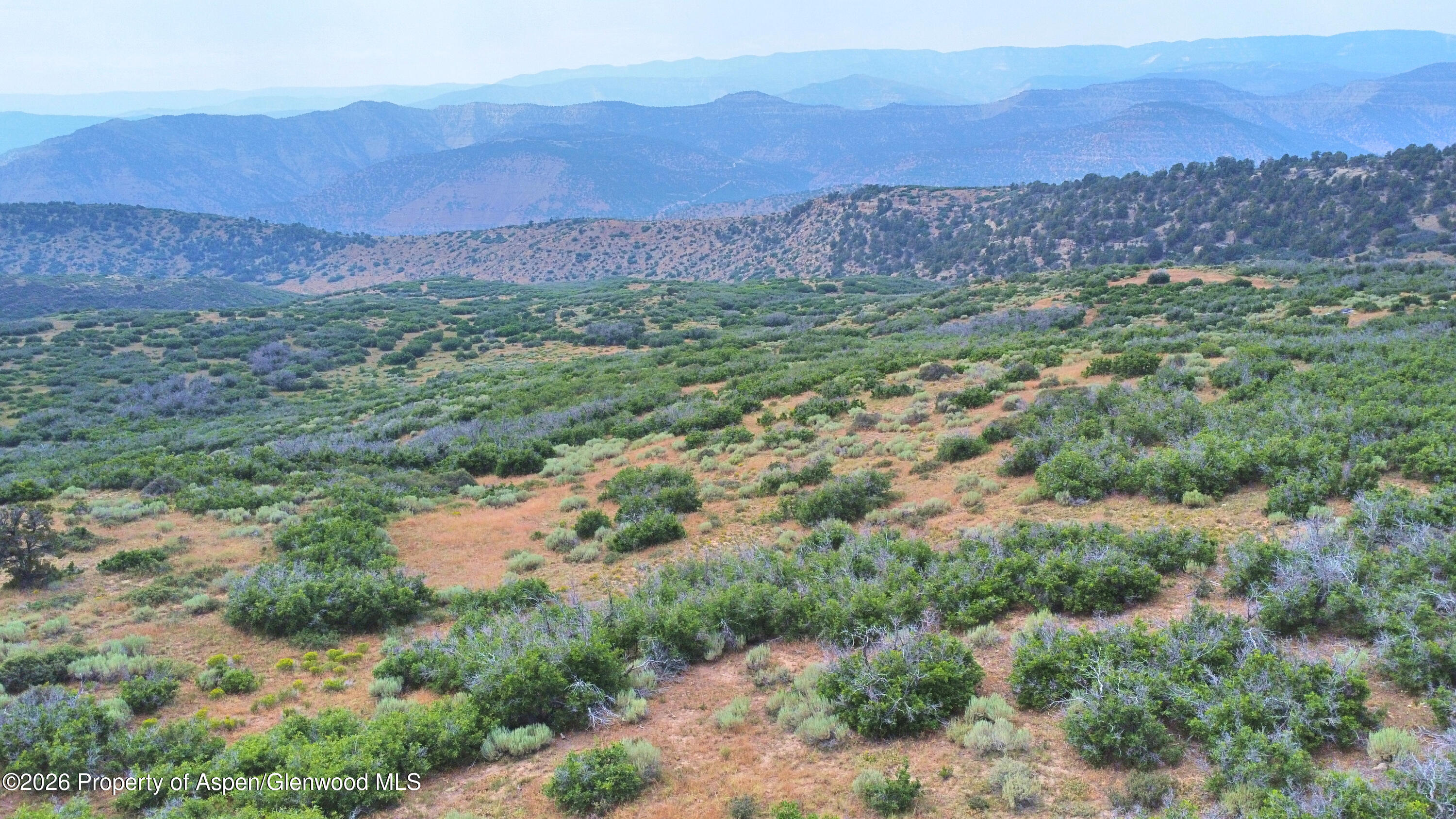 Tbd Old Spink Canyon Road Loma CO 81524