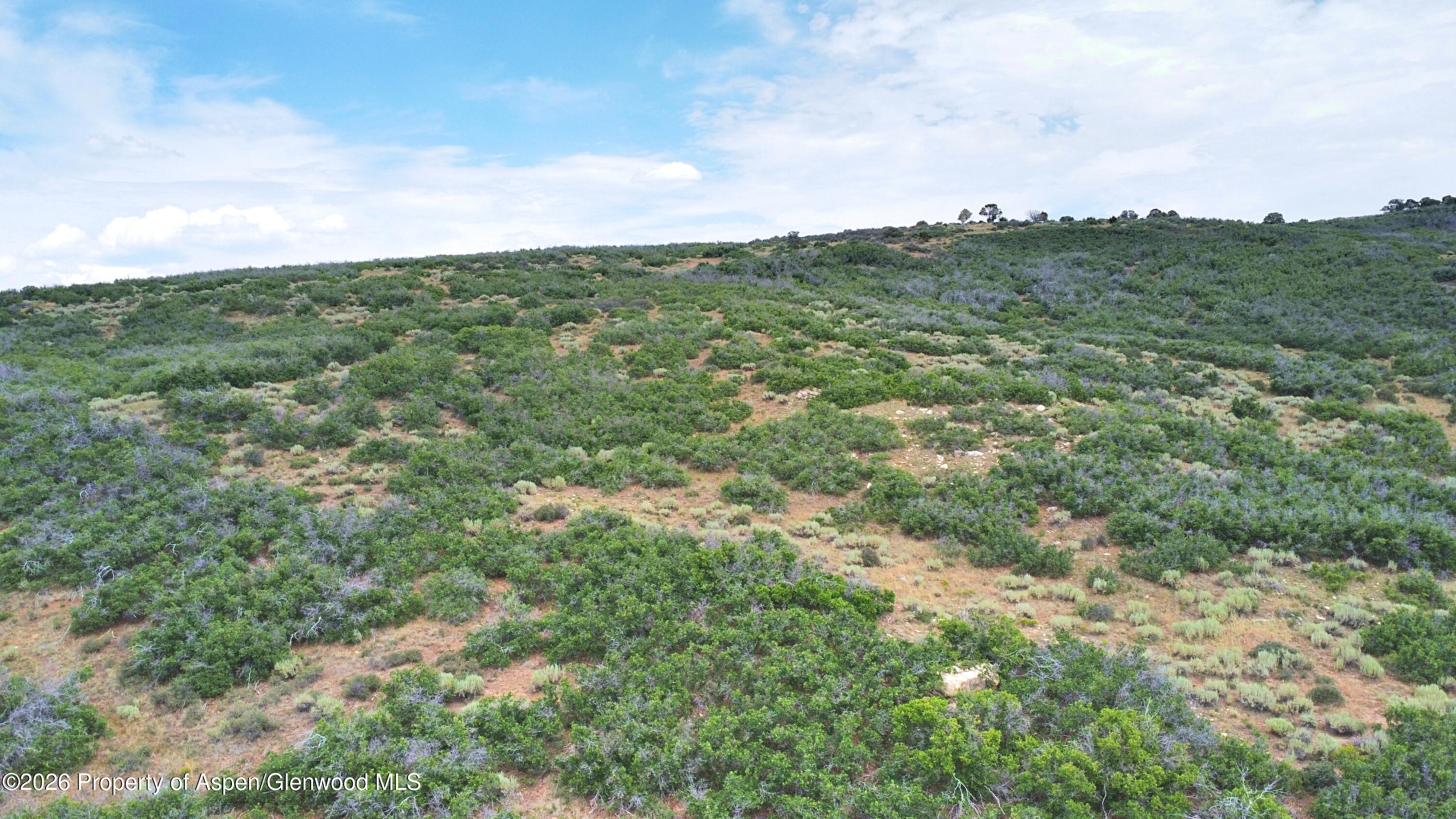 Tbd Old Spink Canyon Road Loma CO 81524