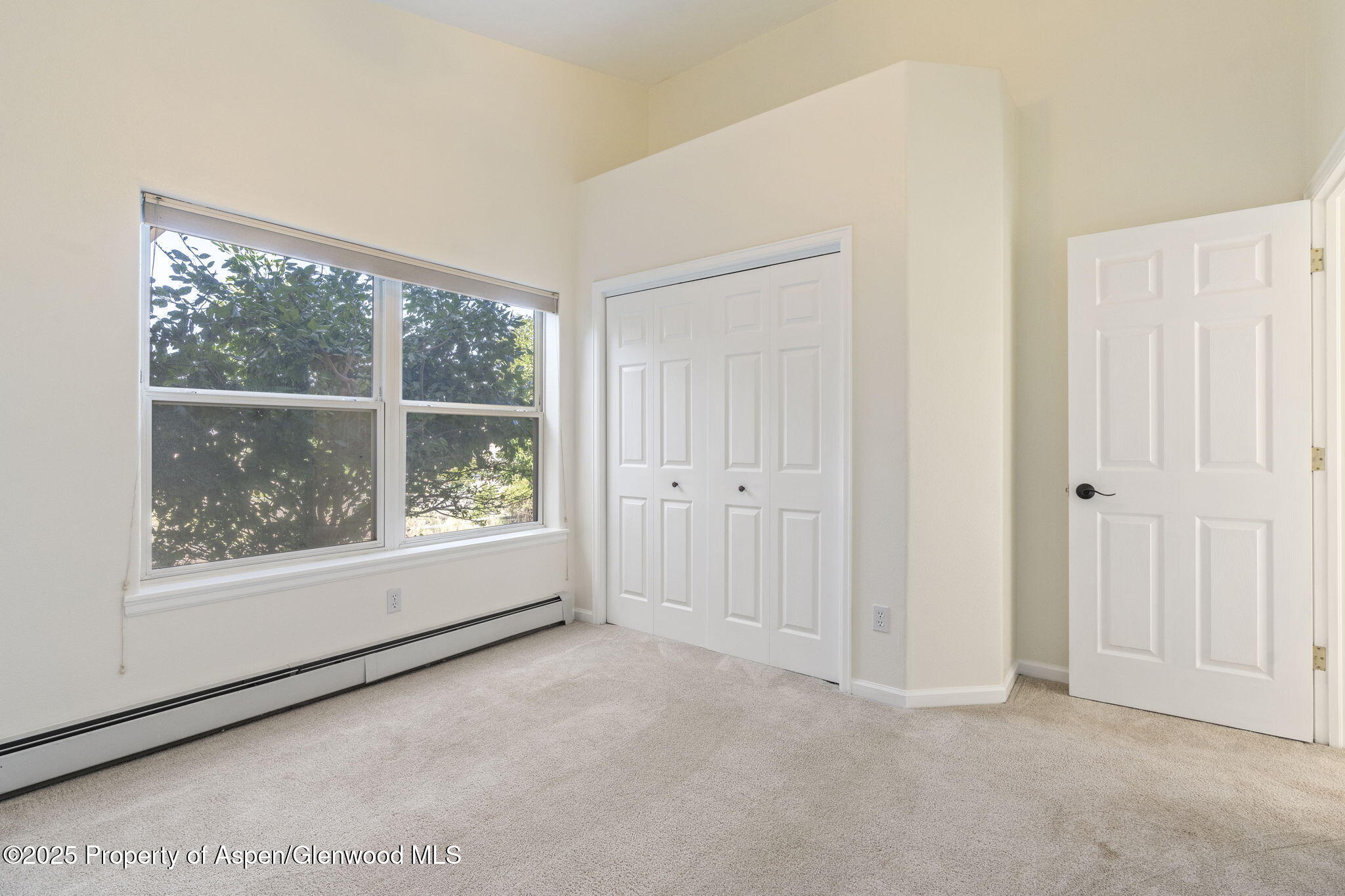 301 Roan Creek Drive Battlement Mesa CO 81635