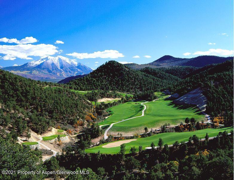 303 Blue Heron Vista Glenwood Springs CO 81601