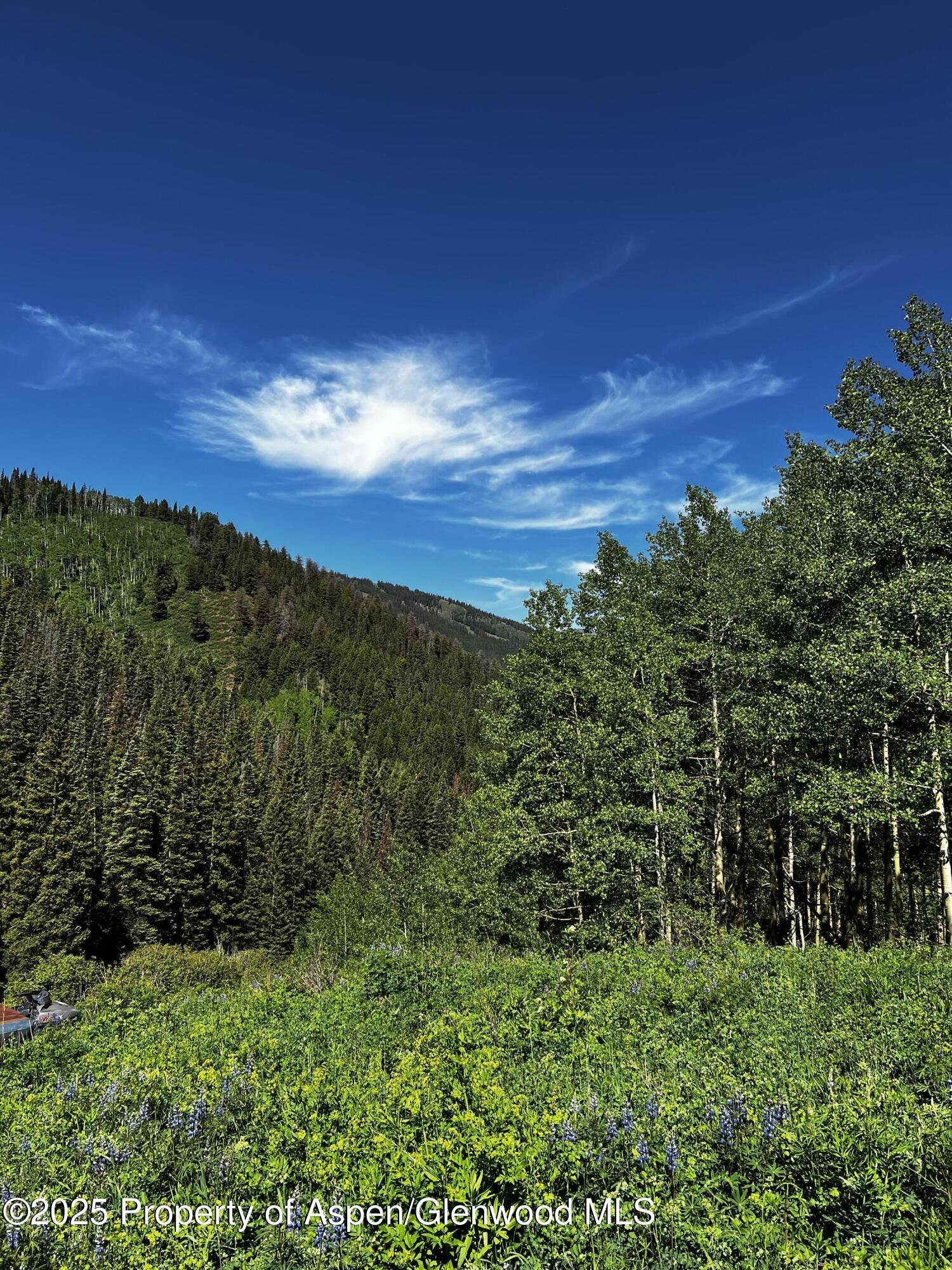 2601 Midnight Mine Road Aspen CO 81611