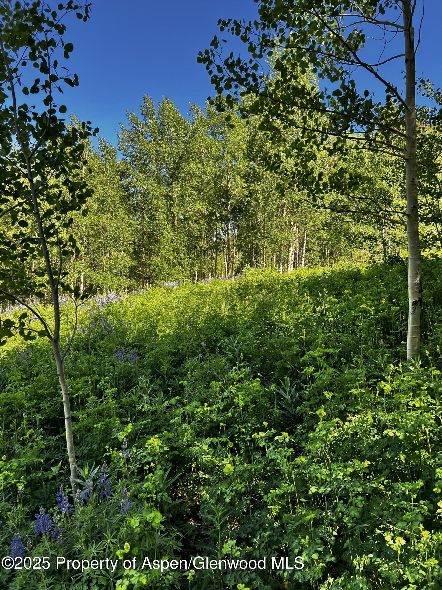 2601 Midnight Mine Road Aspen CO 81611