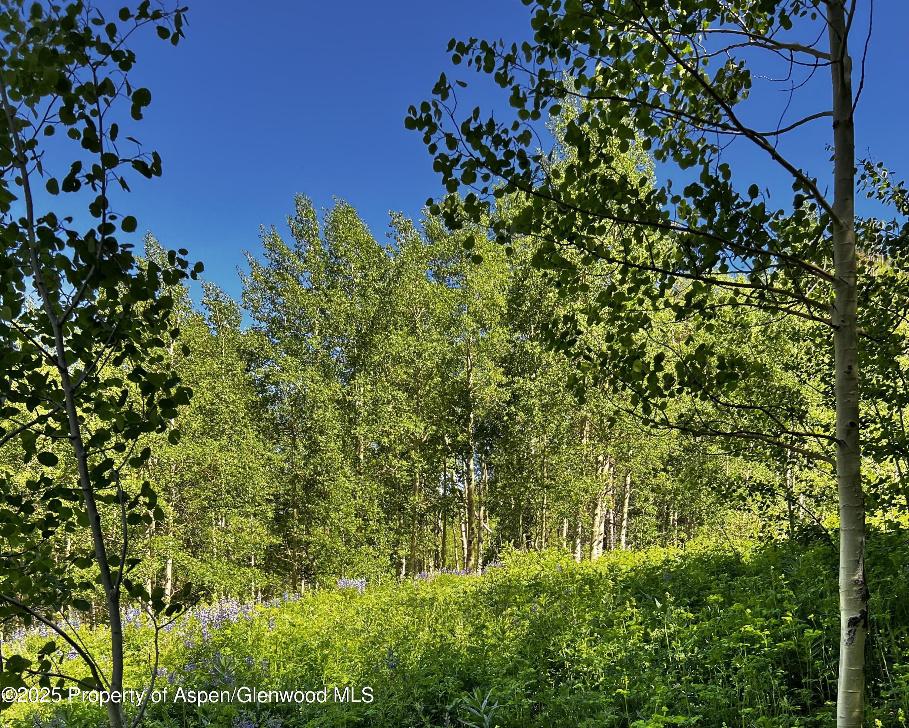 2601 Midnight Mine Road Aspen CO 81611