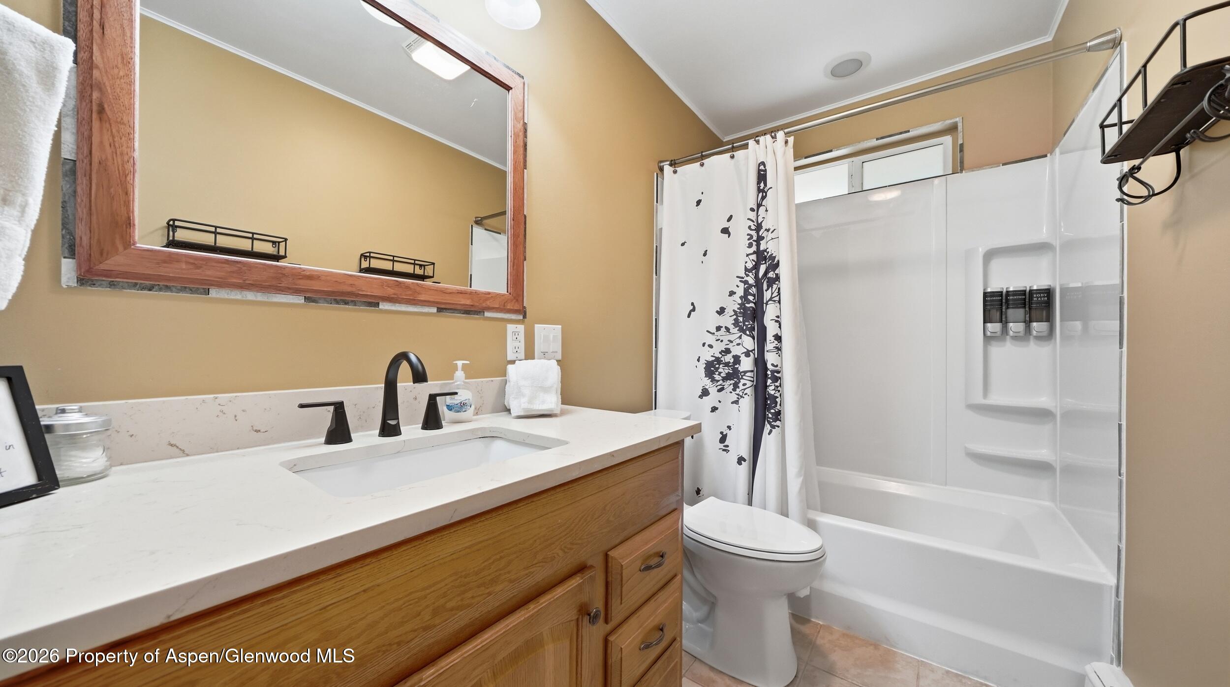 80 Maroon Place Carbondale CO 81623