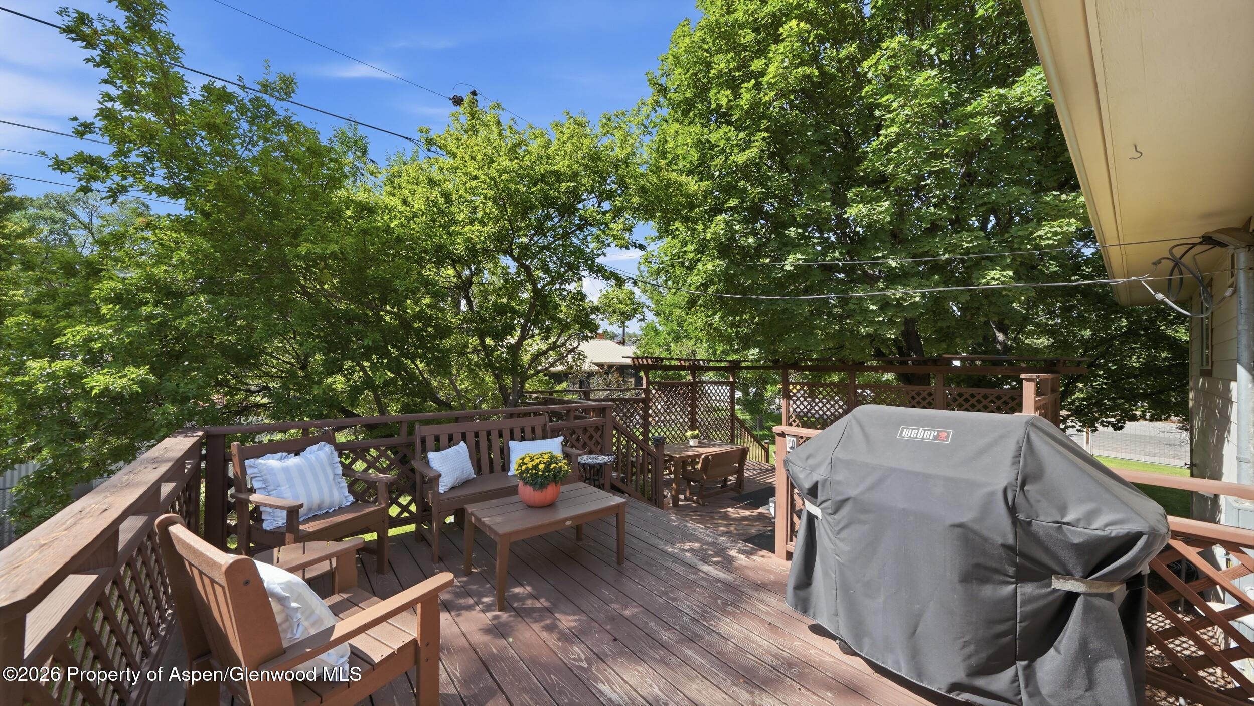 80 Maroon Place Carbondale CO 81623