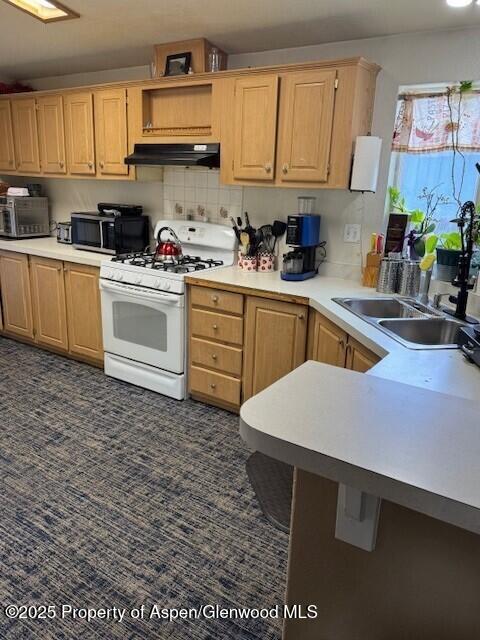 549 E Washington Avenue Hayden CO 81639