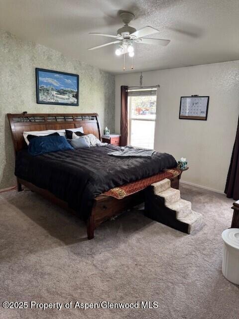 549 E Washington Avenue Hayden CO 81639