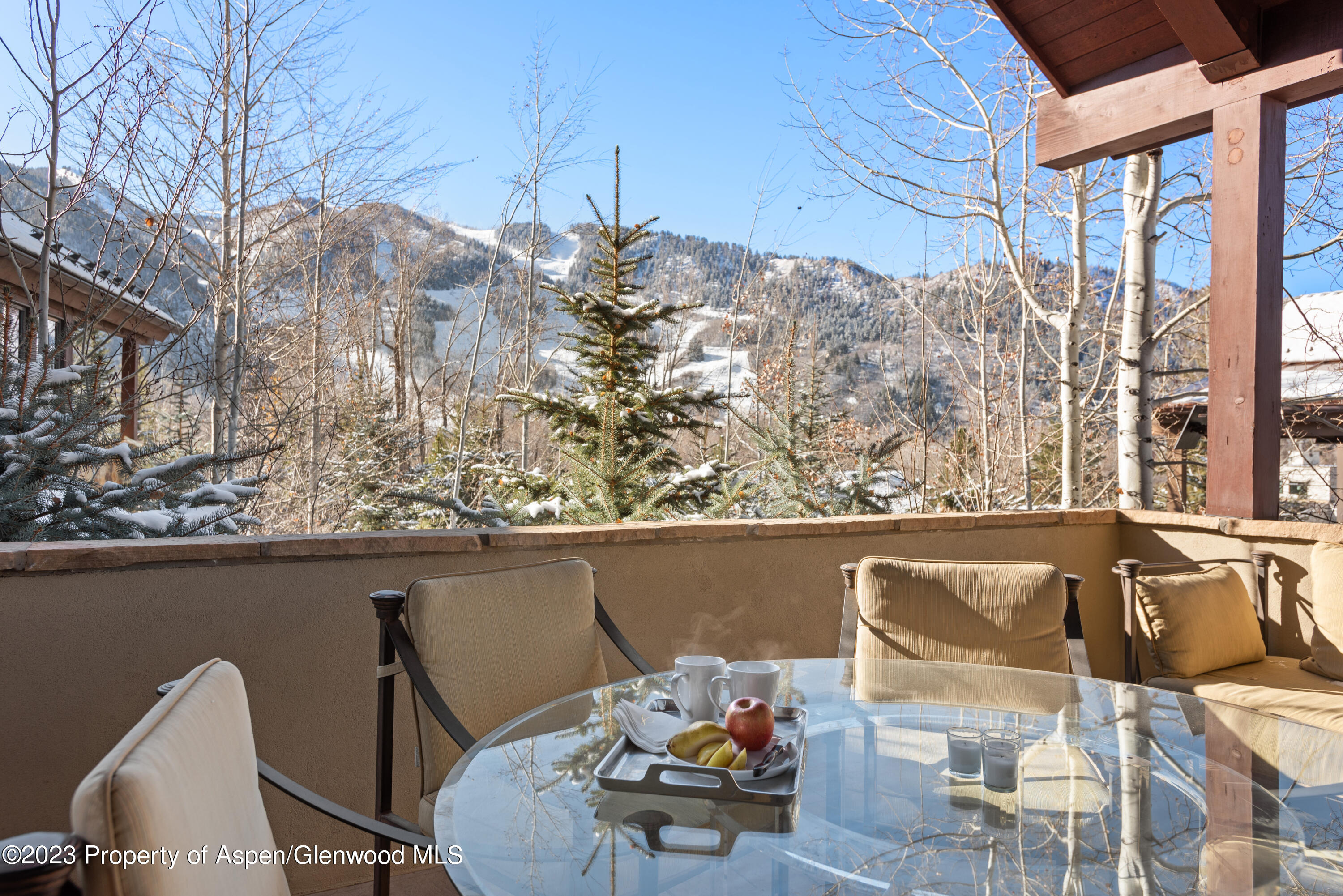 511 Walnut Street Aspen CO 81611