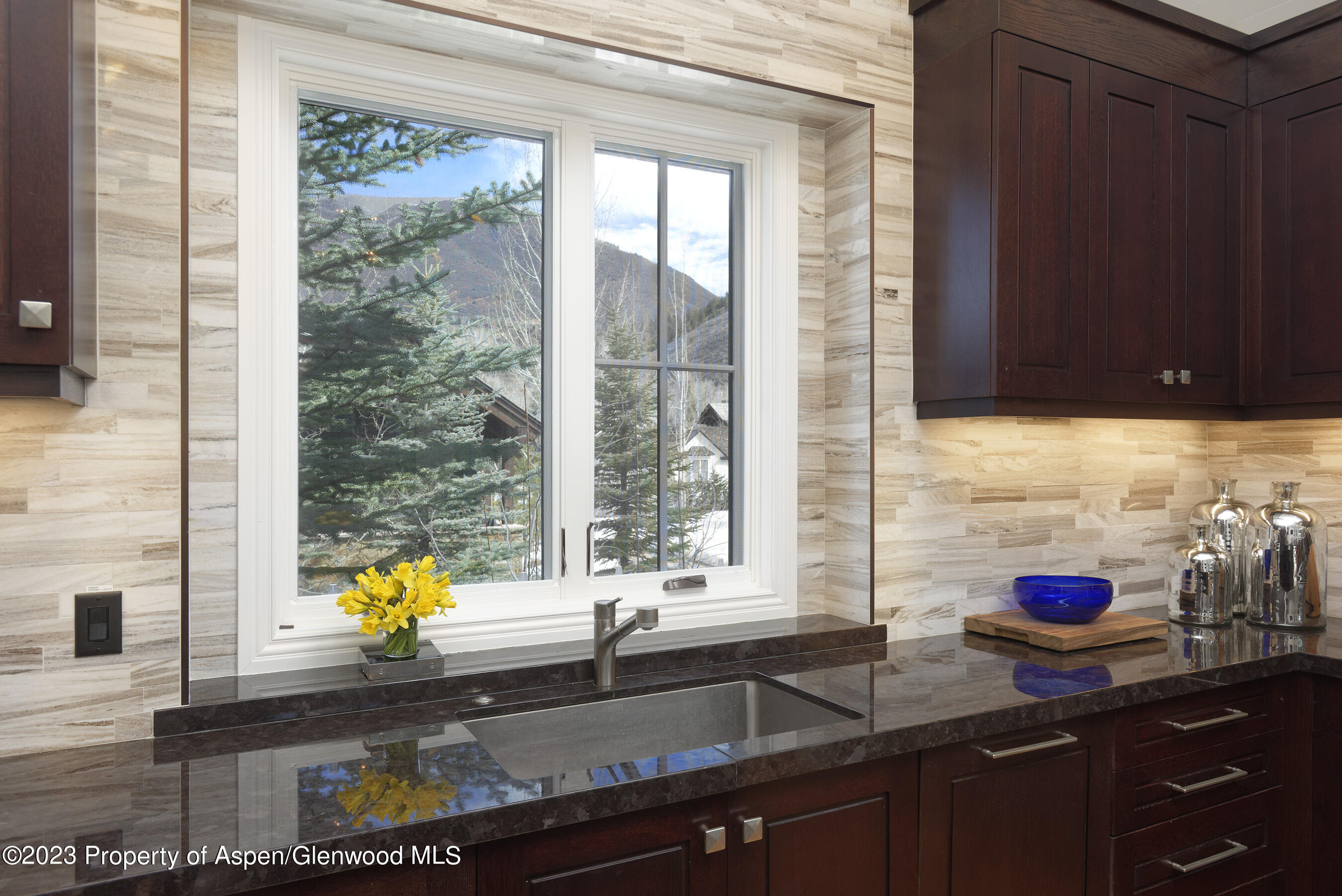 511 Walnut Street Aspen CO 81611