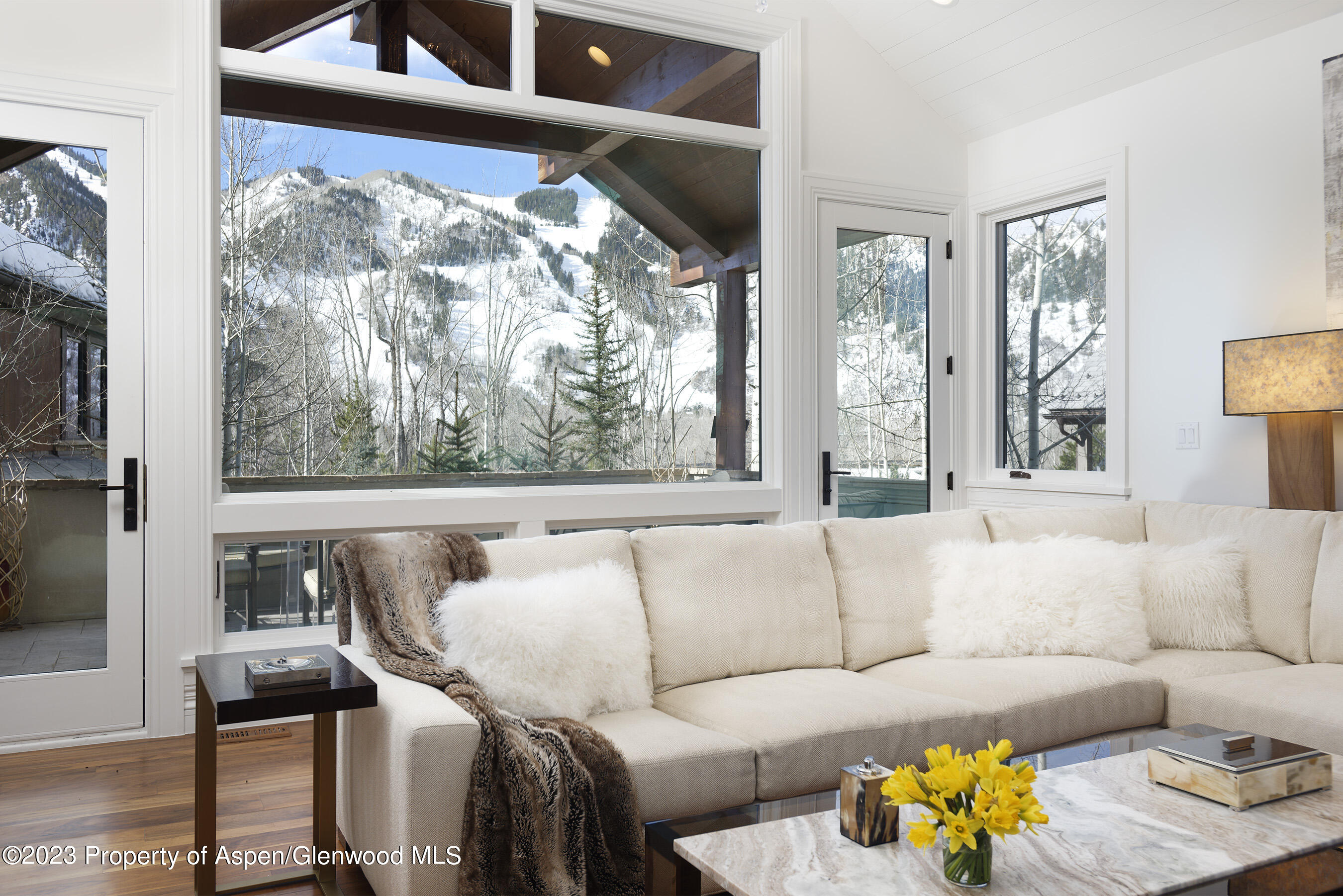 511 Walnut Street Aspen CO 81611