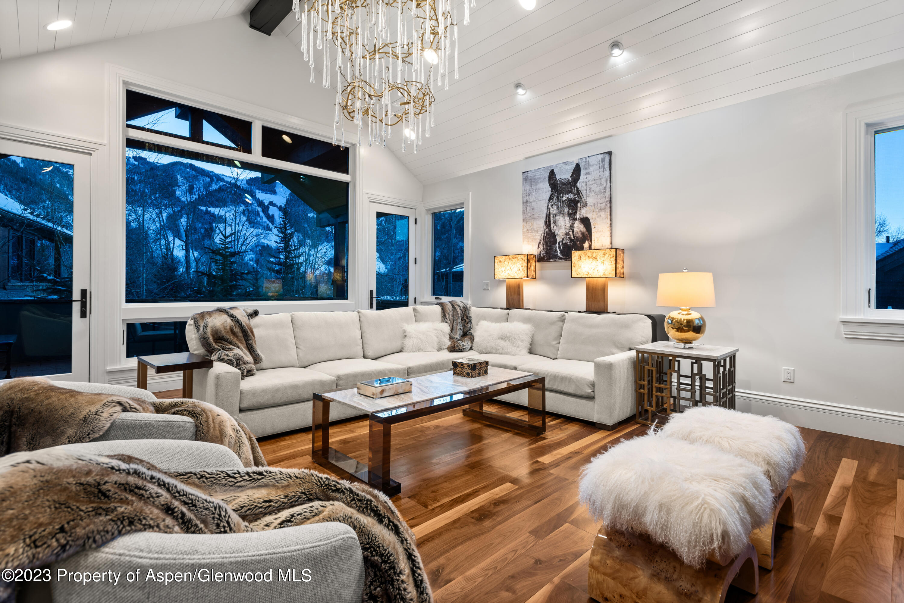 511 Walnut Street Aspen CO 81611